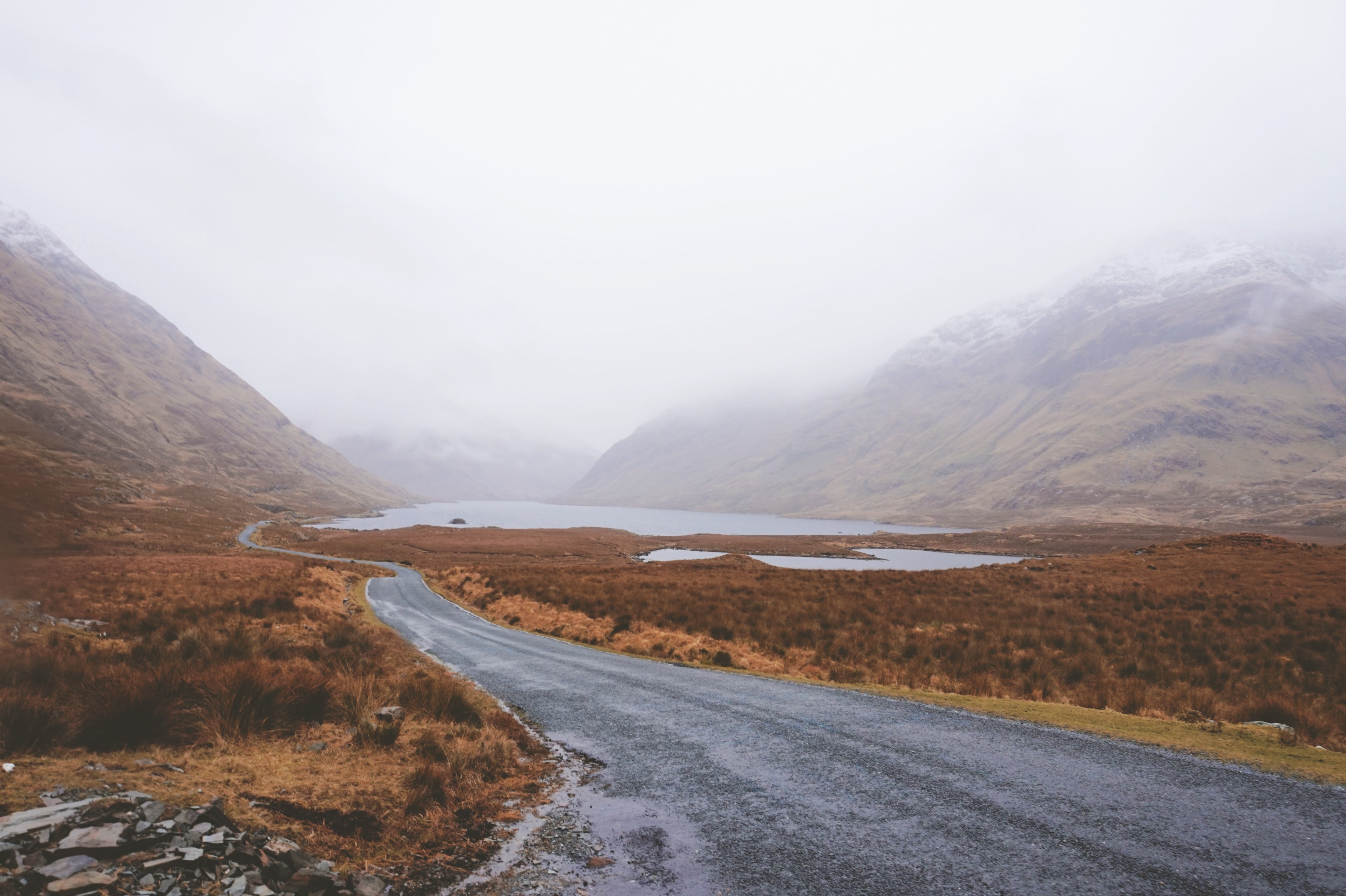 a foggy rural road between winter foliage in ireland, misty rural road 4k, HD Wallpaper