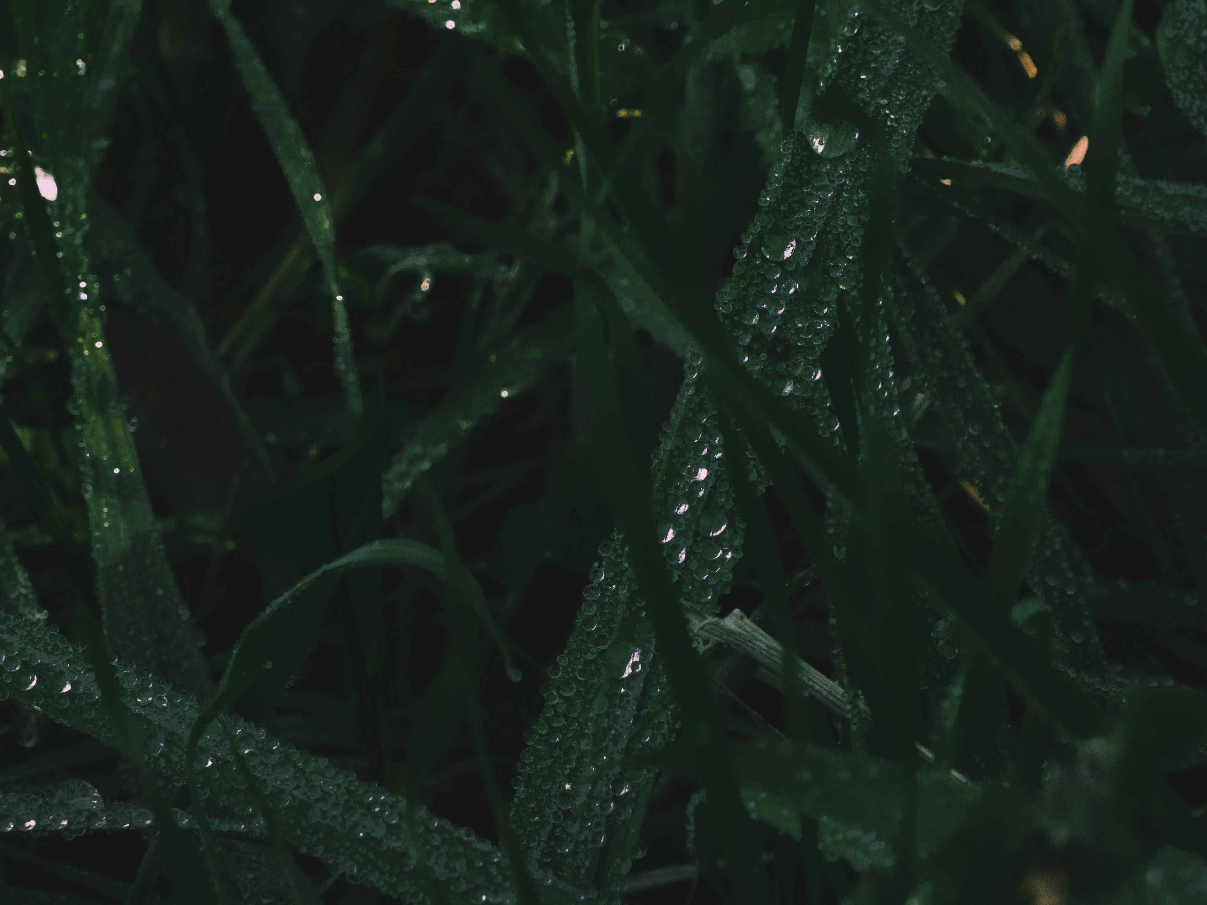 wallpaper material 4k, HD Wallpaper