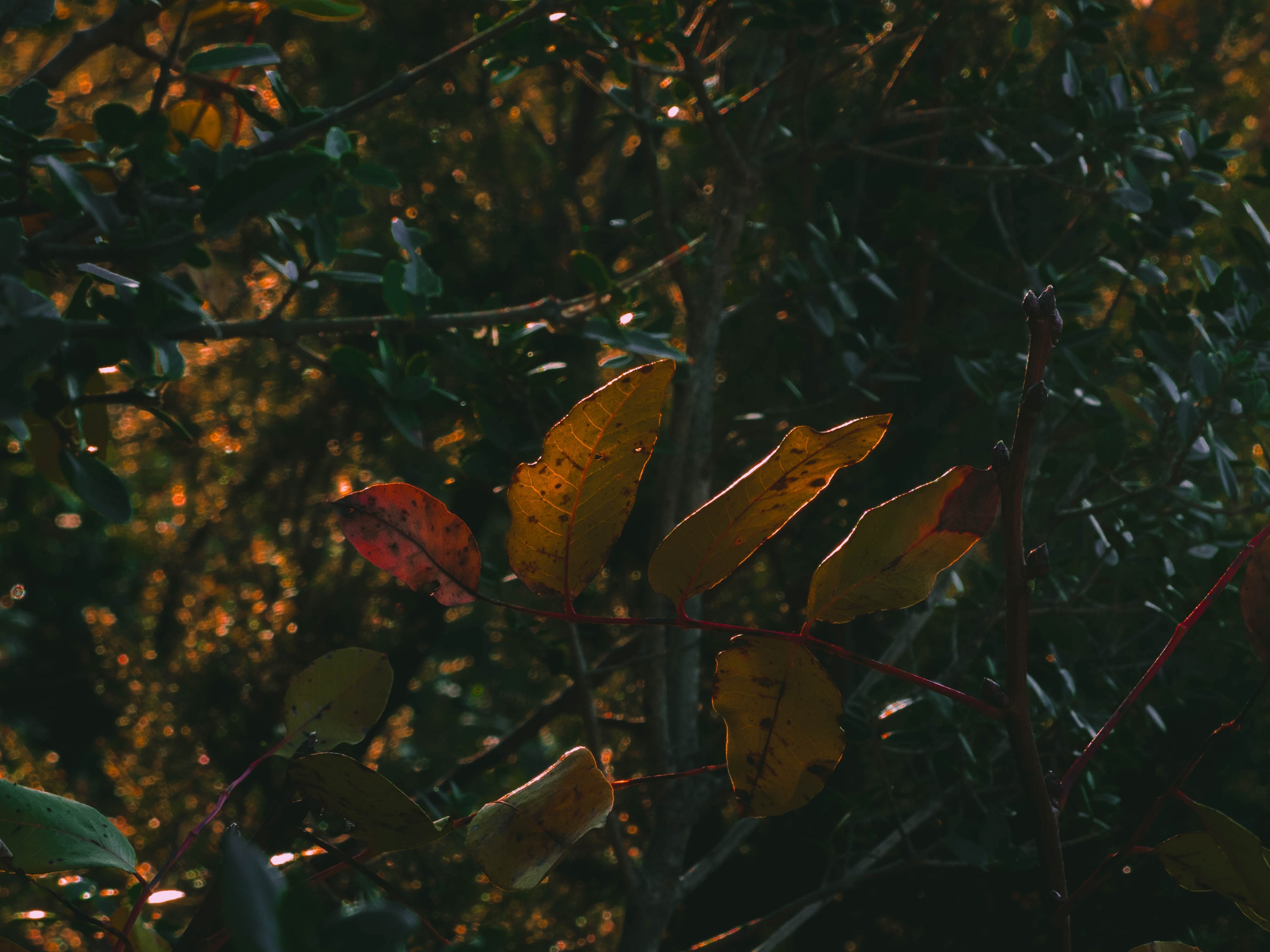 colors 4k, HD Wallpaper