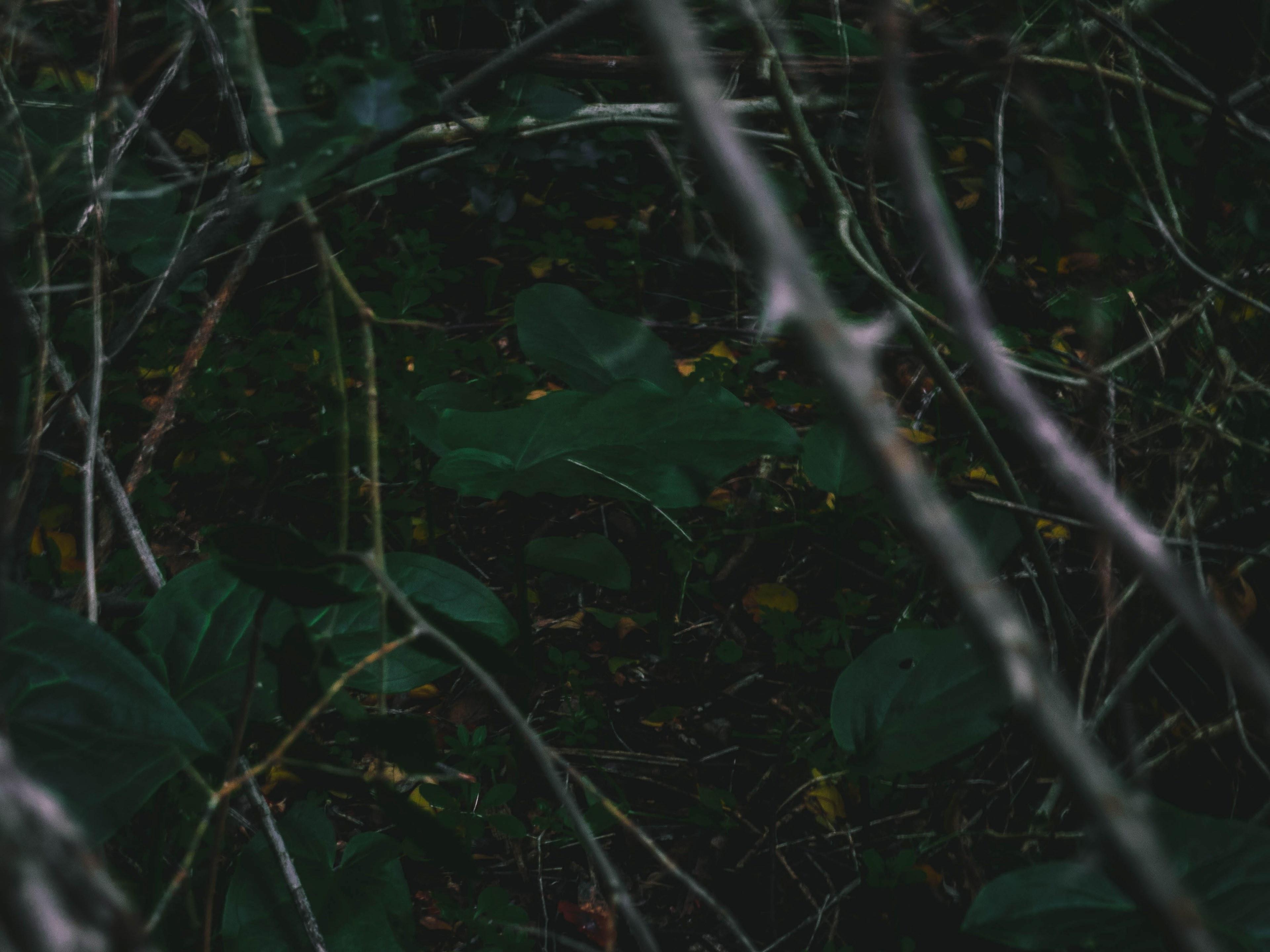 another one 4k, HD Wallpaper