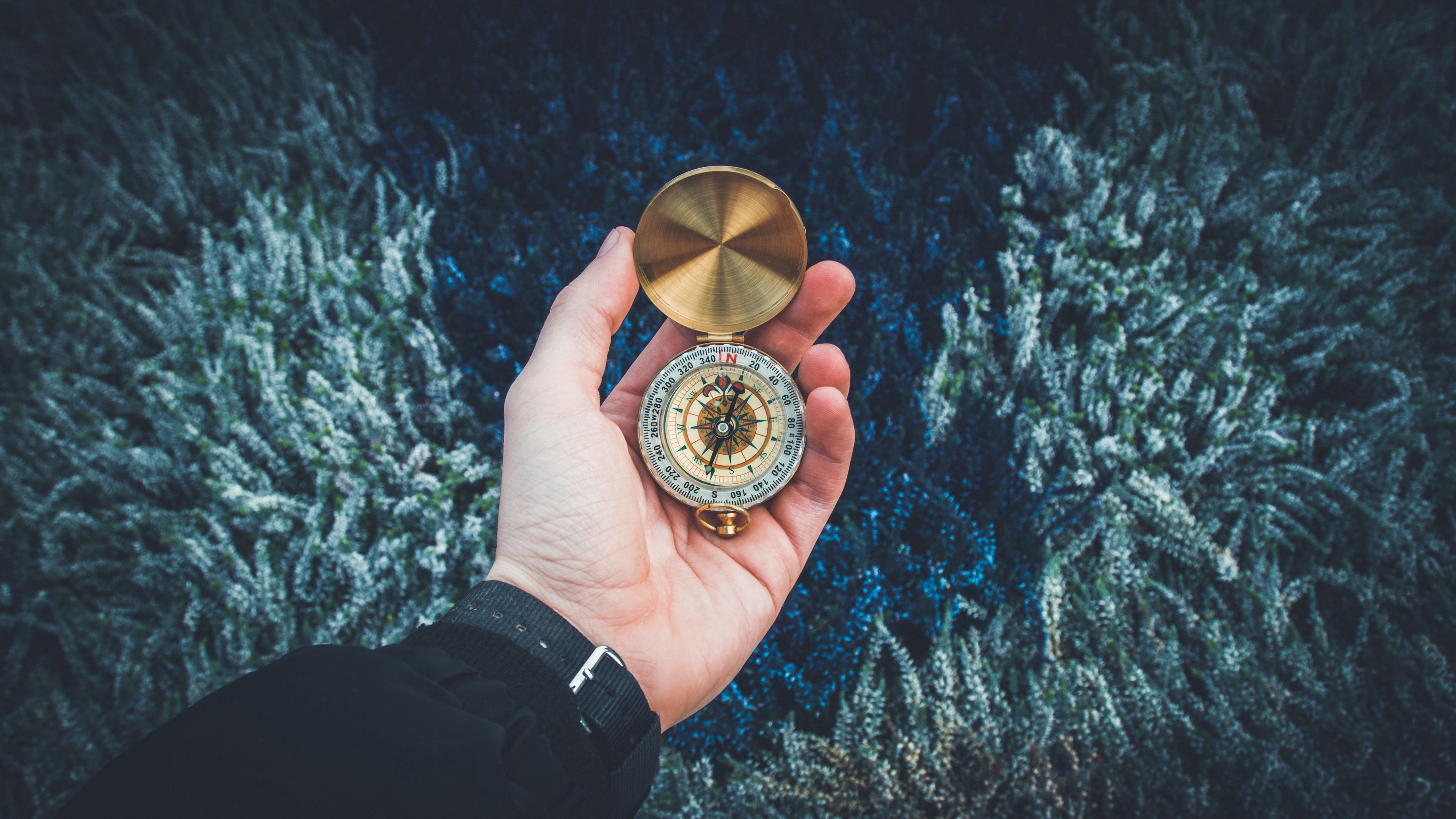compass, hand, flowers, 4k, HD Wallpaper