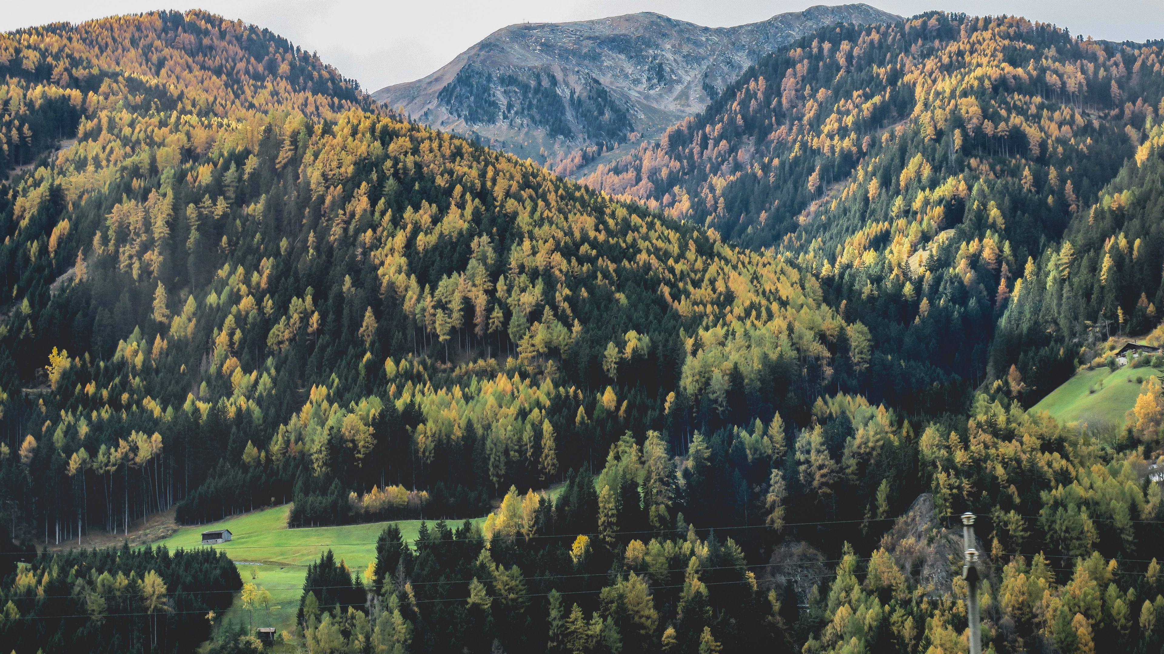 a mountain valley with autumn colored conifers covering its slopes, mountain valley in the autumn 4k, HD Wallpaper