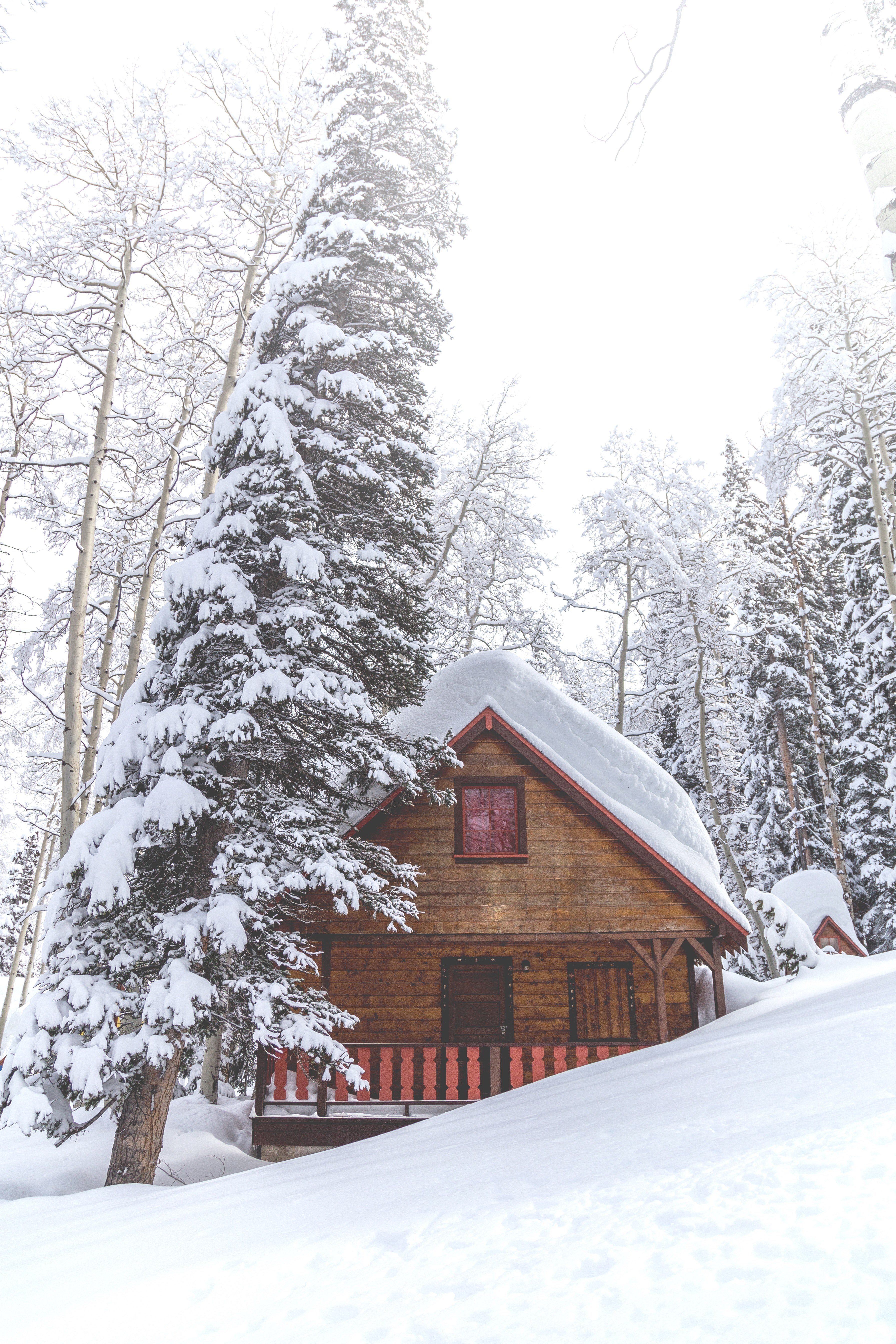cabin in the woods 4k, Phone HD Wallpaper