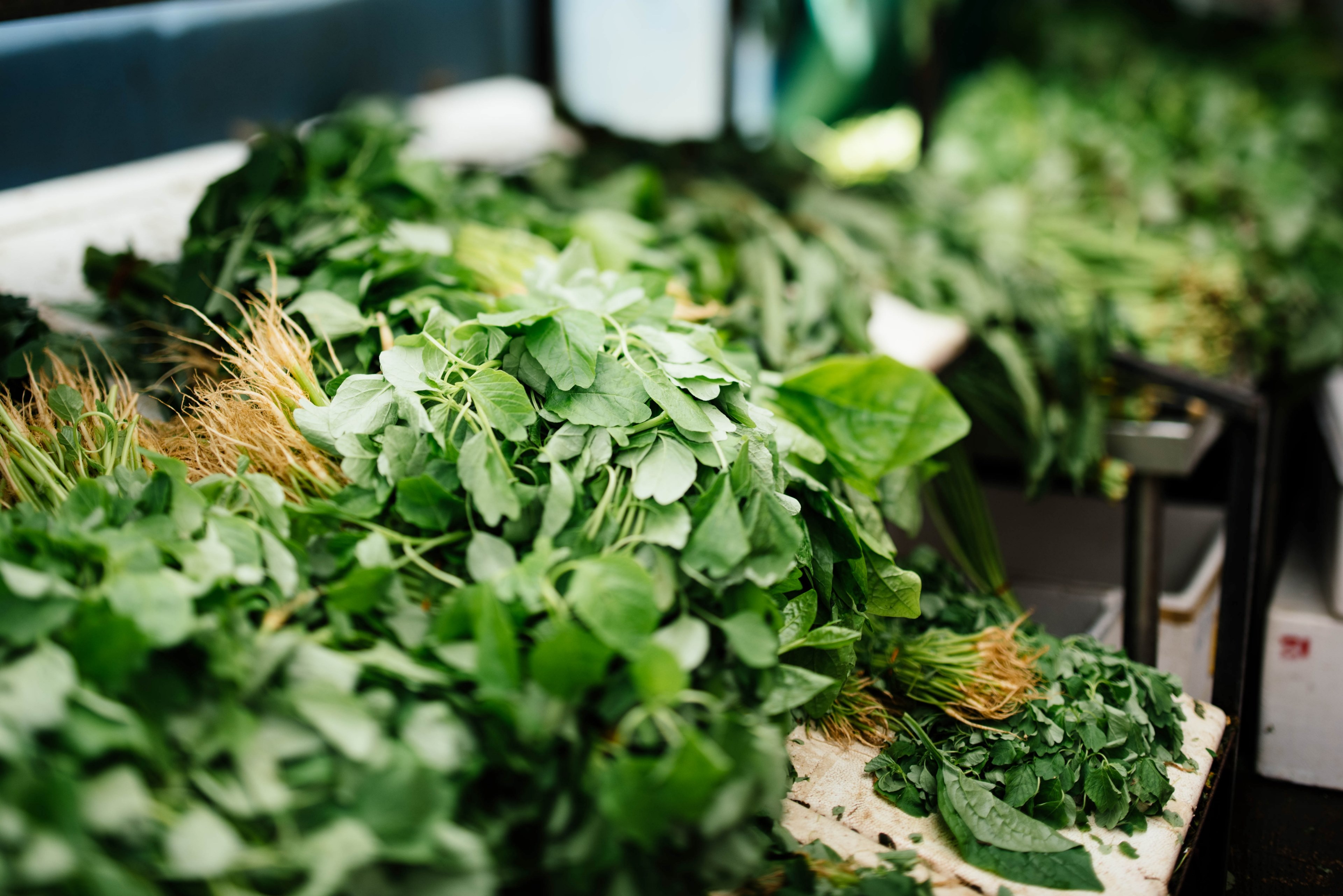 bundles of leafy green herbs on sale at a market, herb market 4k, HD Wallpaper