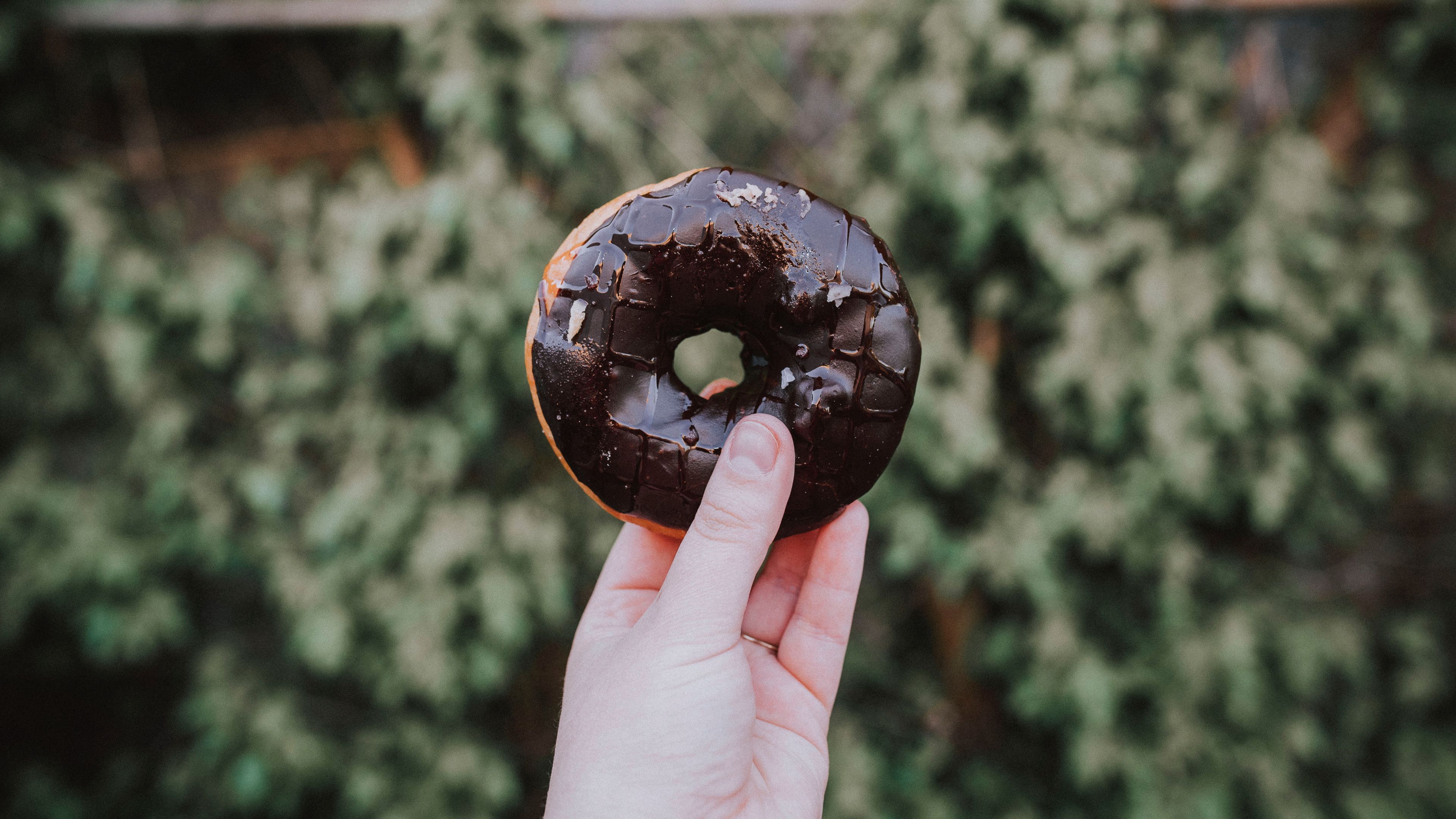 donut, hand, chocolate, 4k, HD Wallpaper