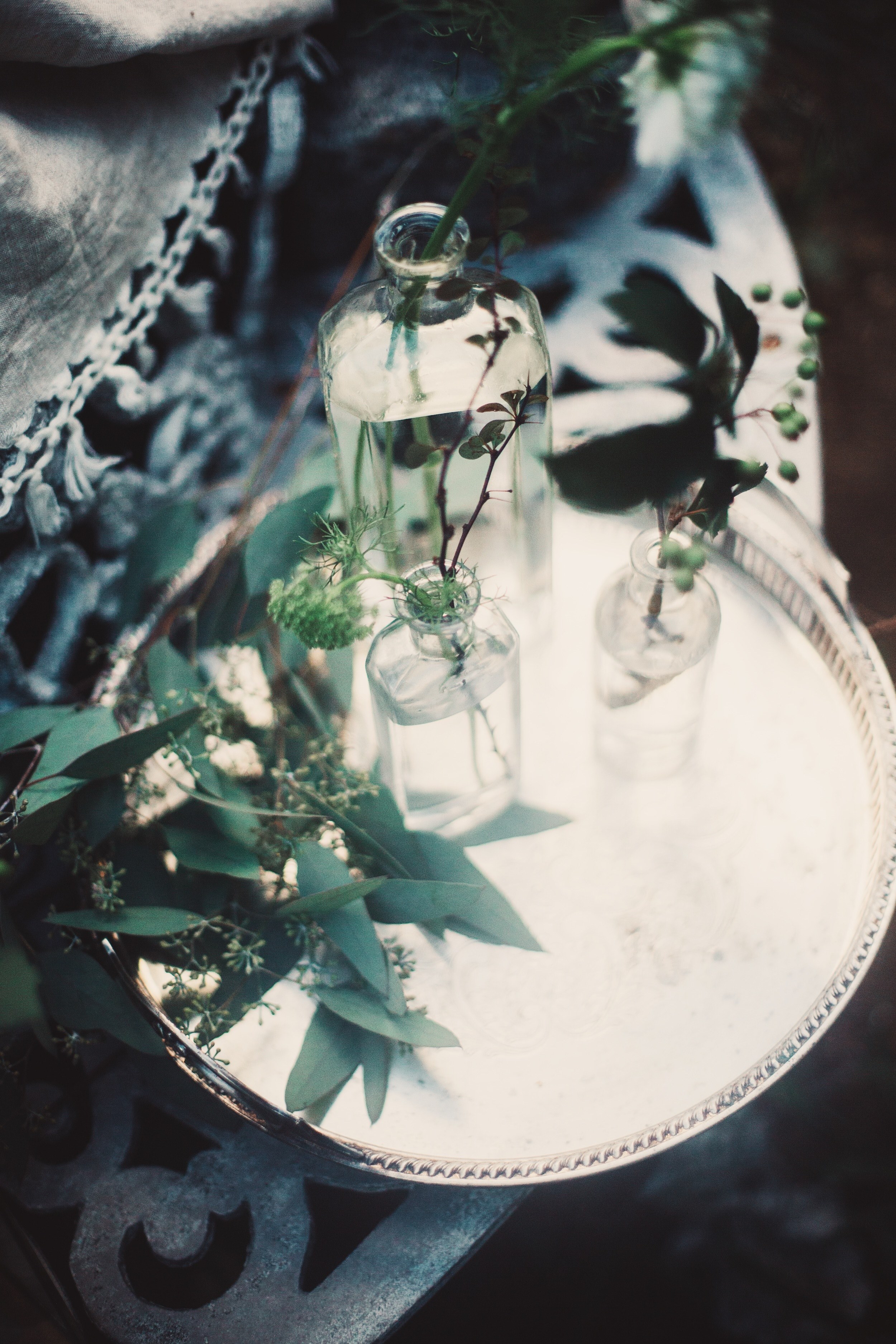 nature wild flower vsco and dark lighting hd, 4k, Phone HD Wallpaper