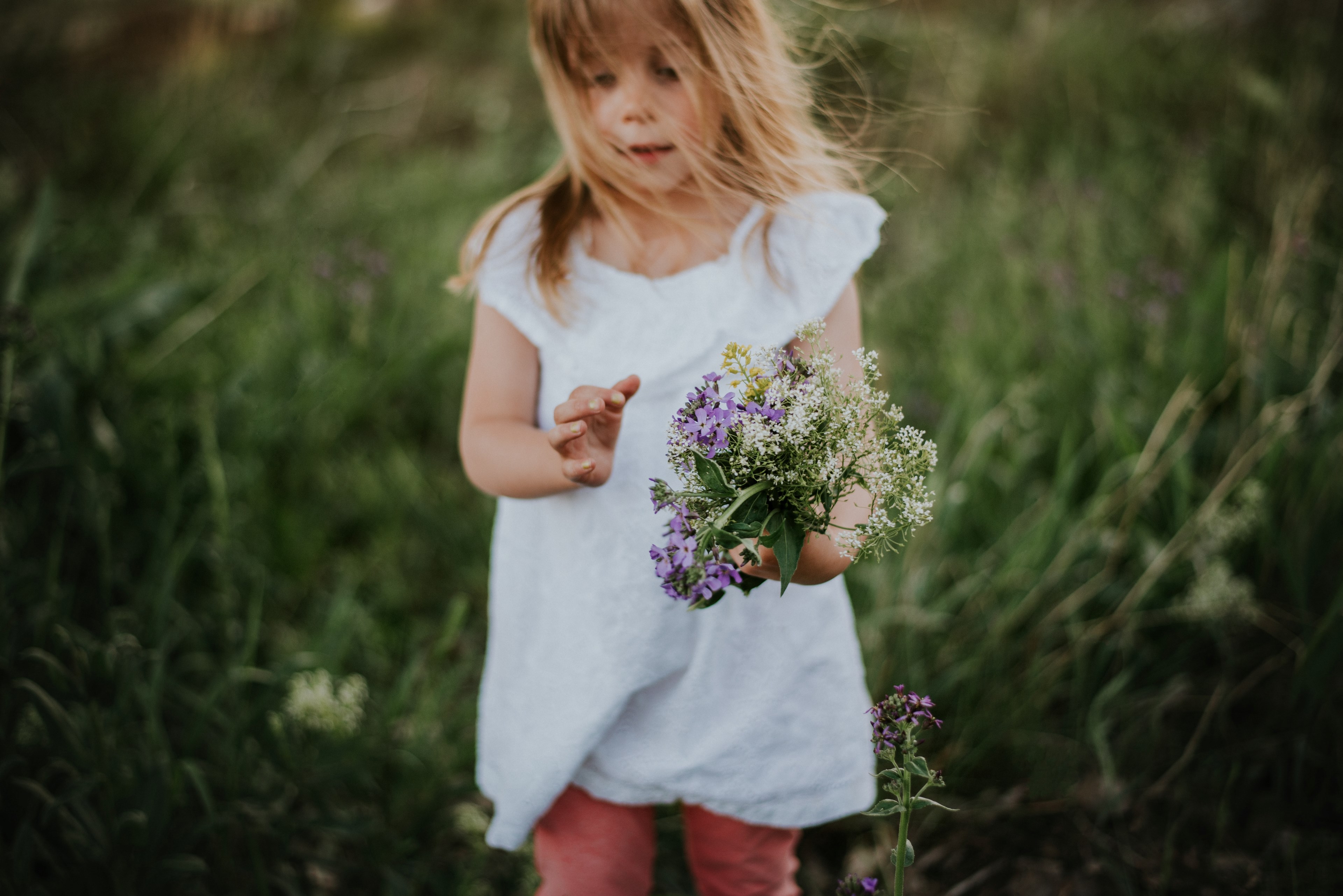 picking wildflowers 4k, HD Wallpaper