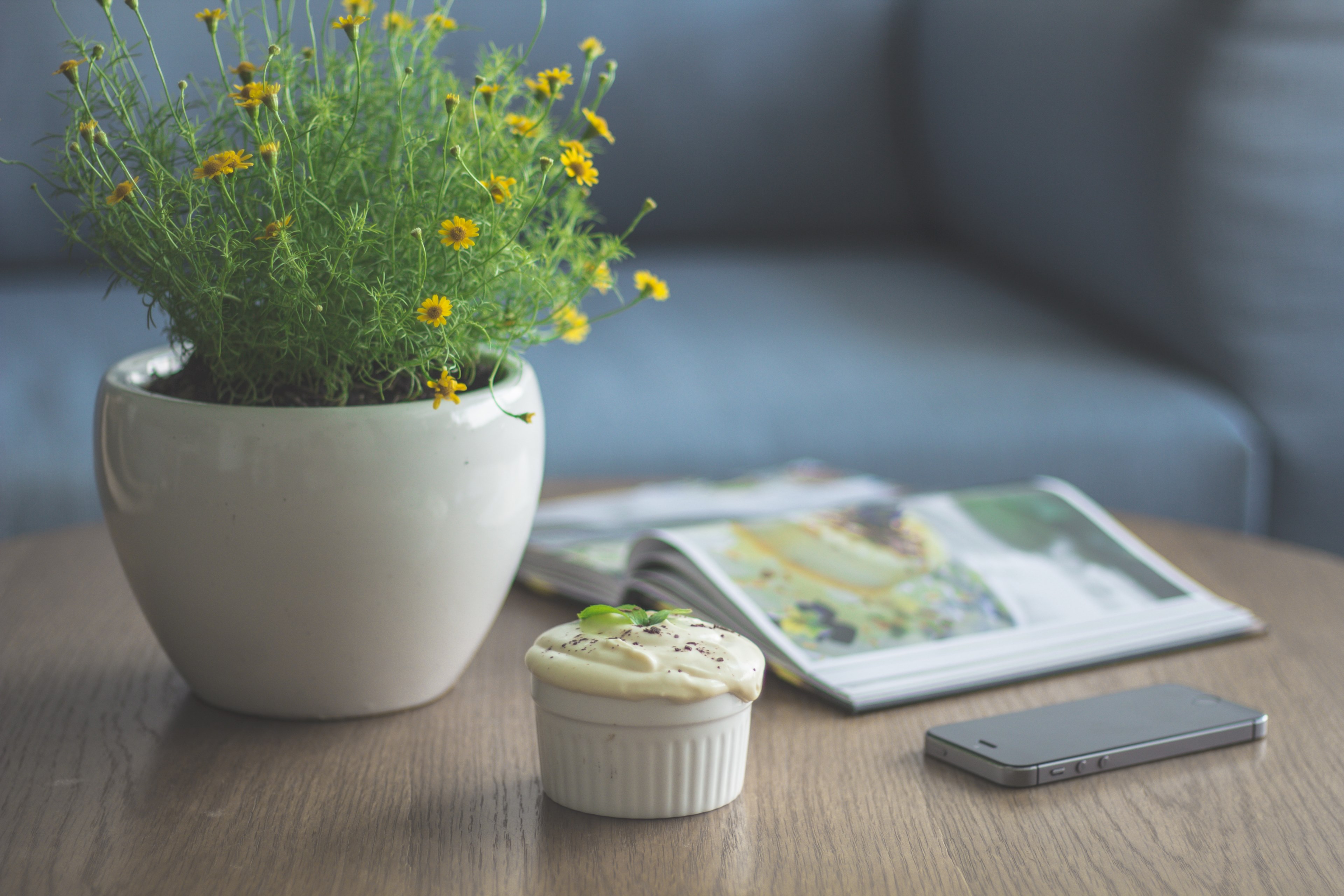 a flower plant cupcake iphone and book lay on a table in ho chi minh, sweet treat after work 4k, HD Wallpaper