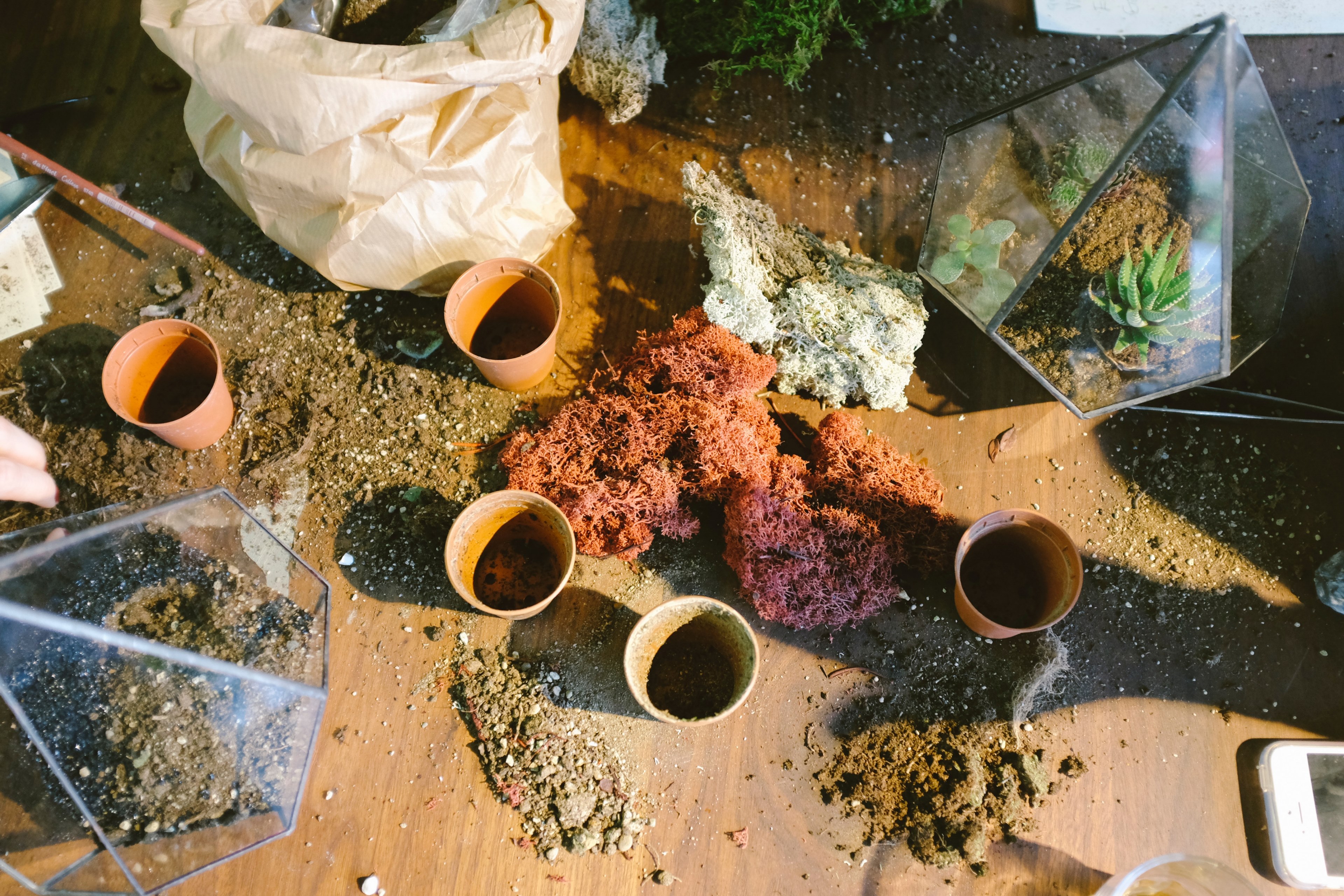 pots mulch a terrarium and soil on the ground, plant supplies 4k, HD Wallpaper