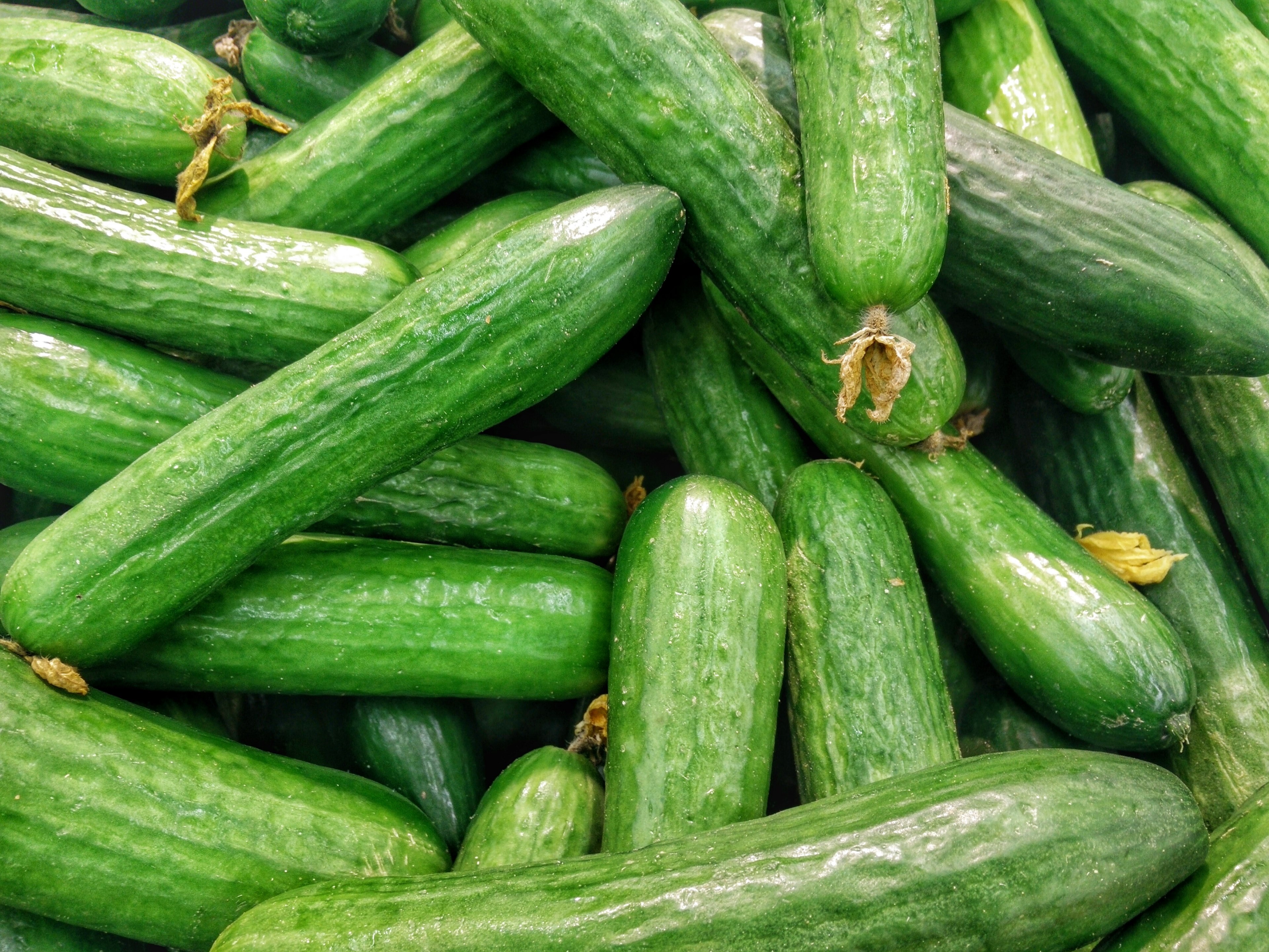 pile of fresh cucumbers for sale, cucumbers 4k, HD Wallpaper