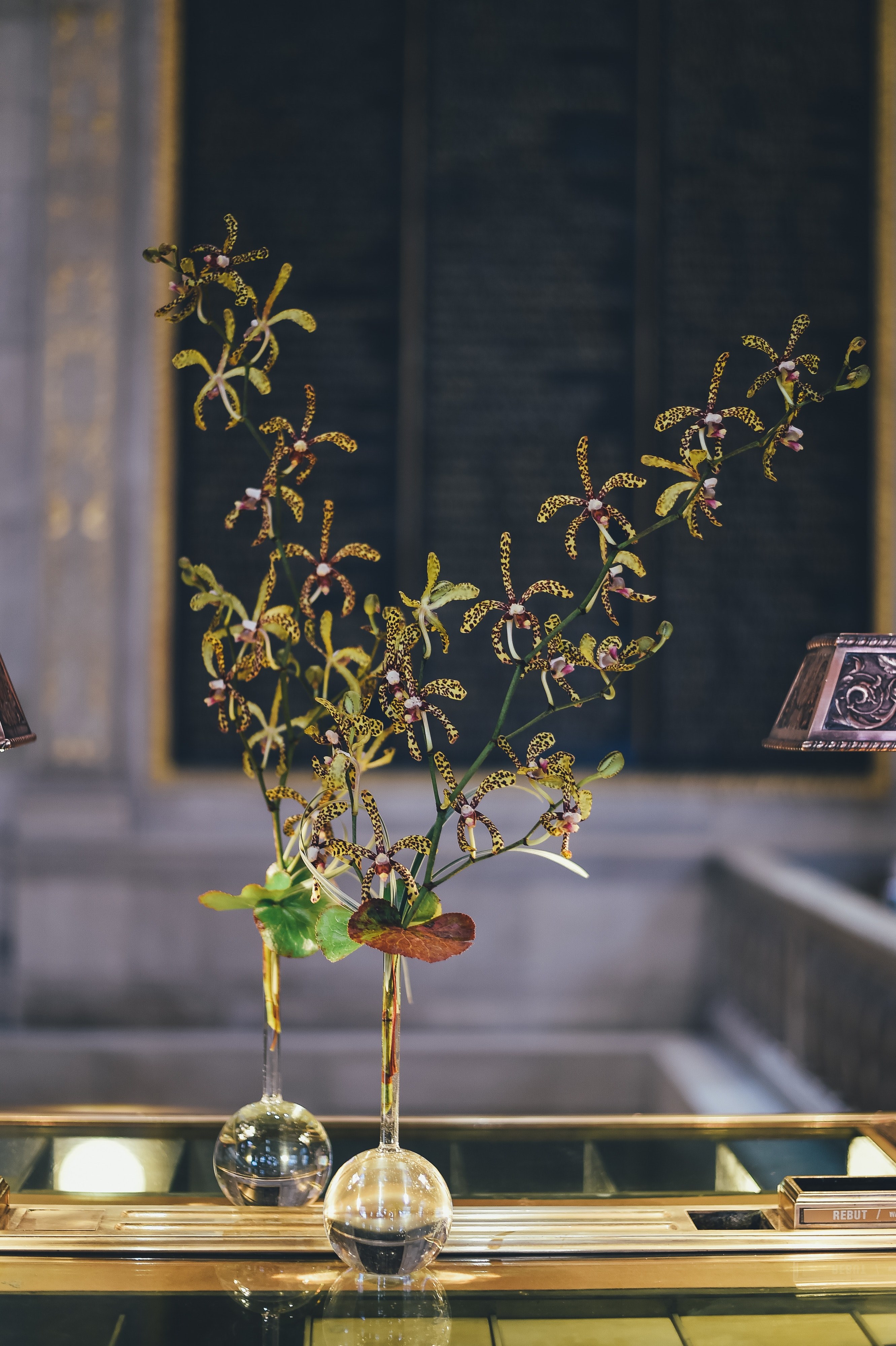 interior vase flower and orchid hd, 4k, Phone HD Wallpaper