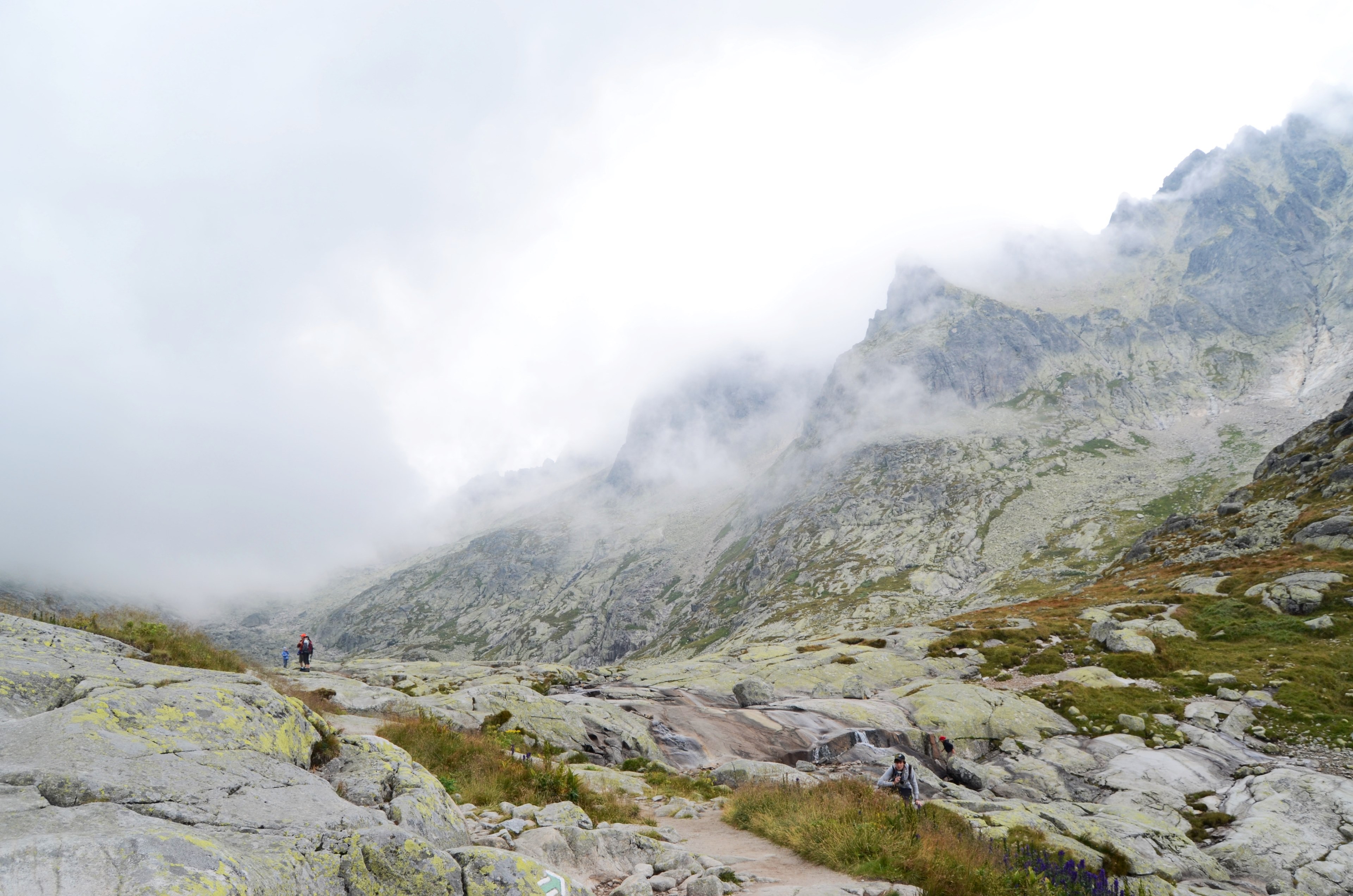 rocky hiking paths by mossy hillsides and foggy mountains, hikers in the high tatras 4k, HD Wallpaper