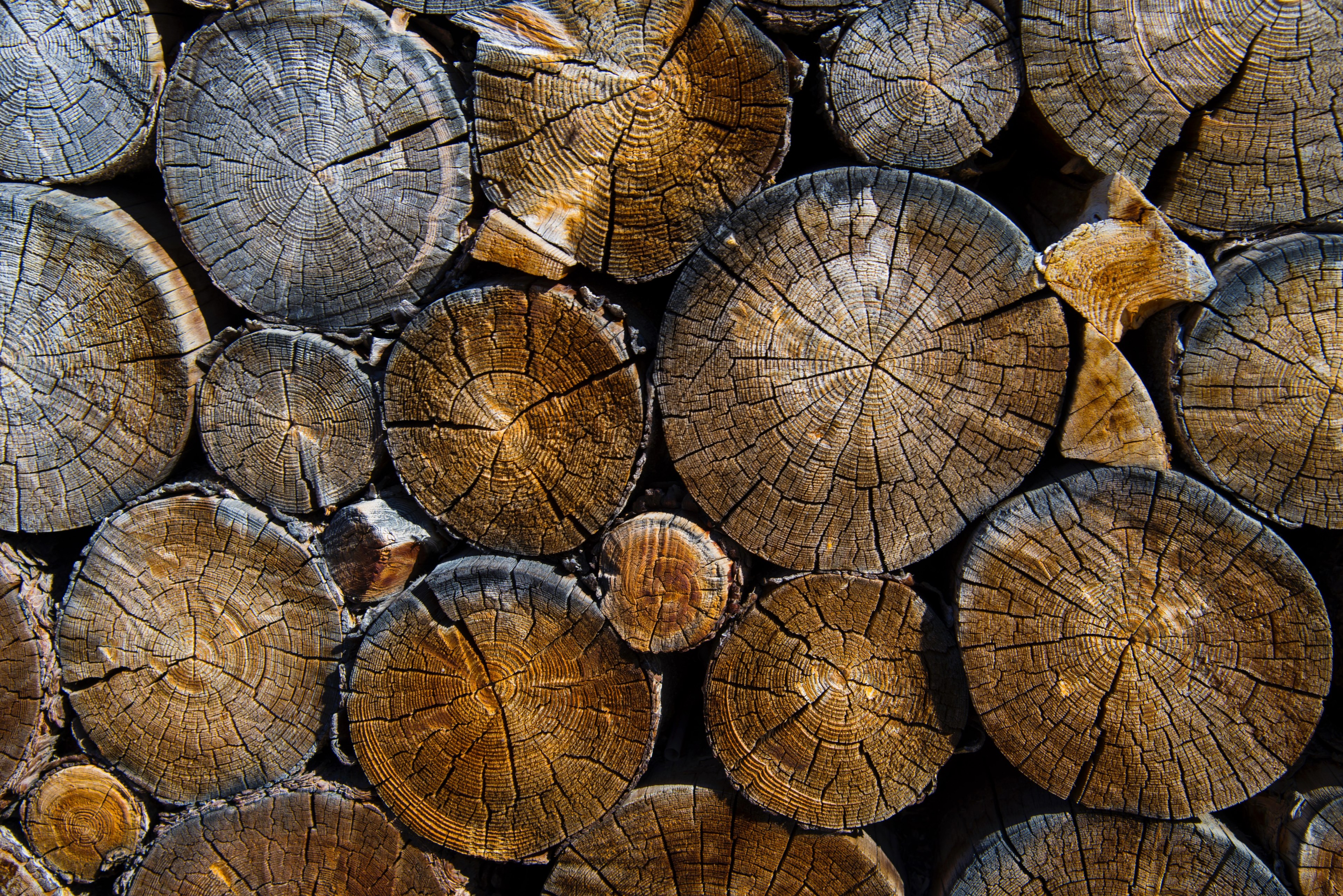 a stack of sawn logs, round sawn logs 4k, HD Wallpaper