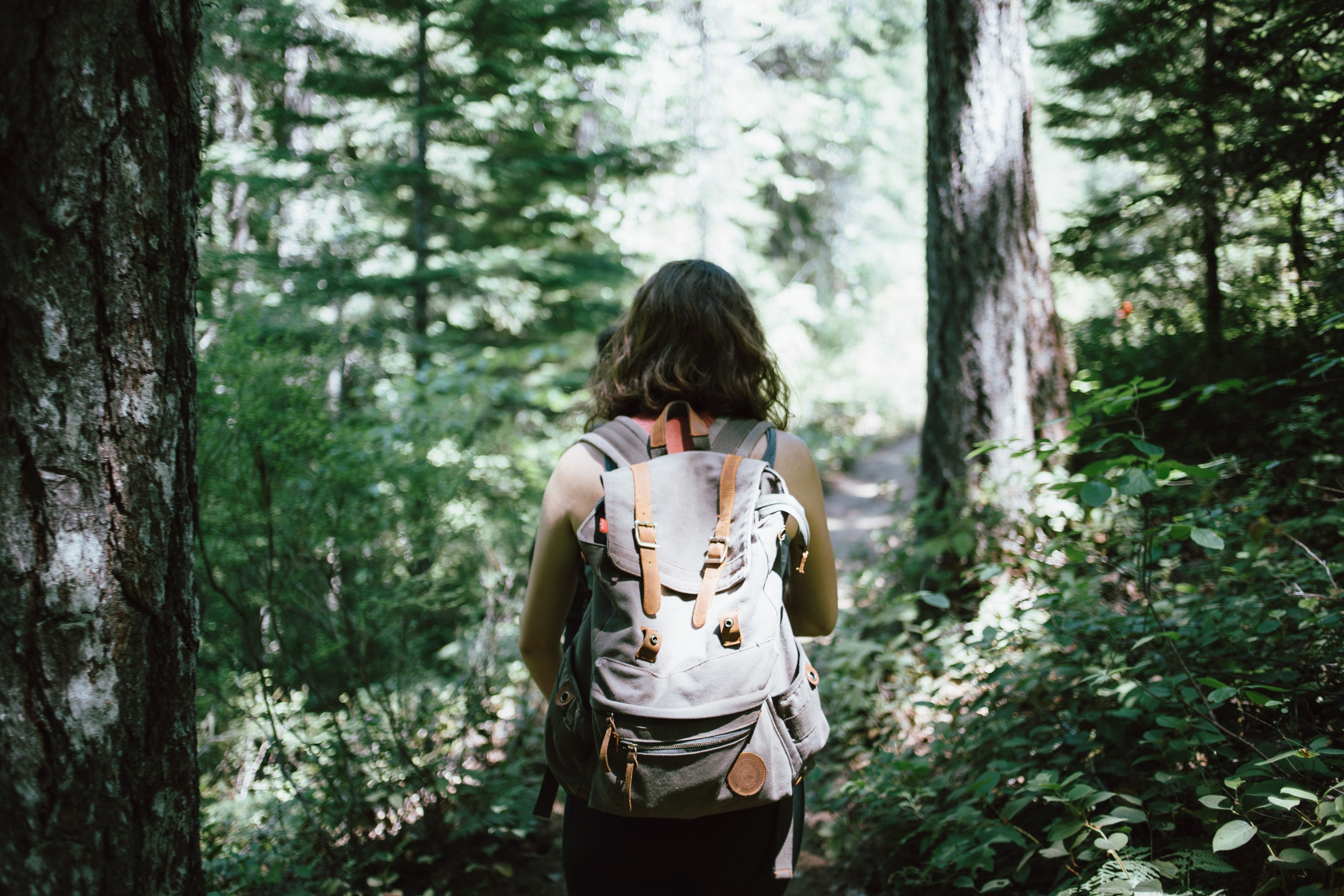 a woman with a large backpack walking through a forest, hiker with a large backpack 4k, HD Wallpaper