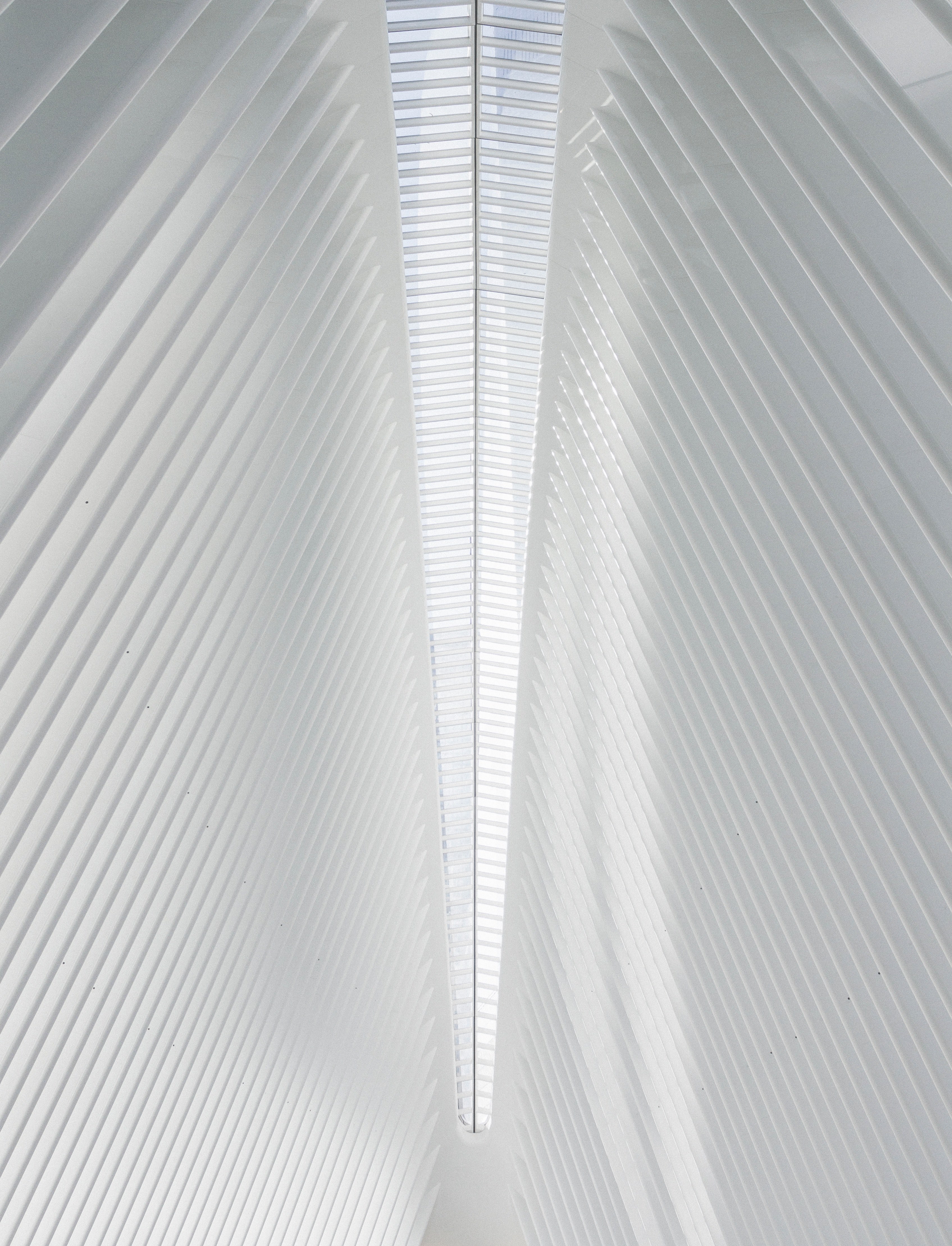 the spine 4k, Phone HD Wallpaper