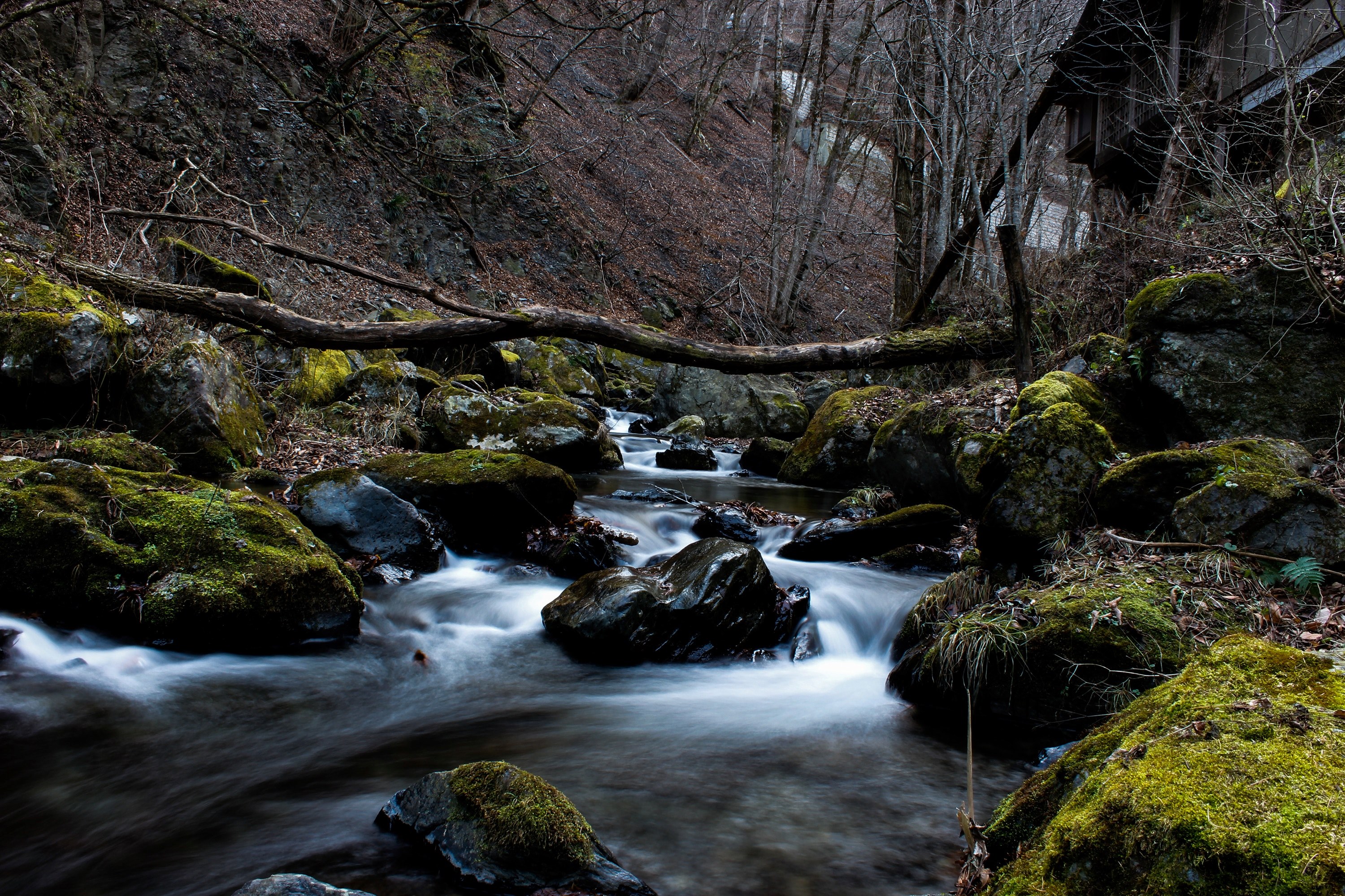 prax jerome autunm and japan 4k, HD Wallpaper