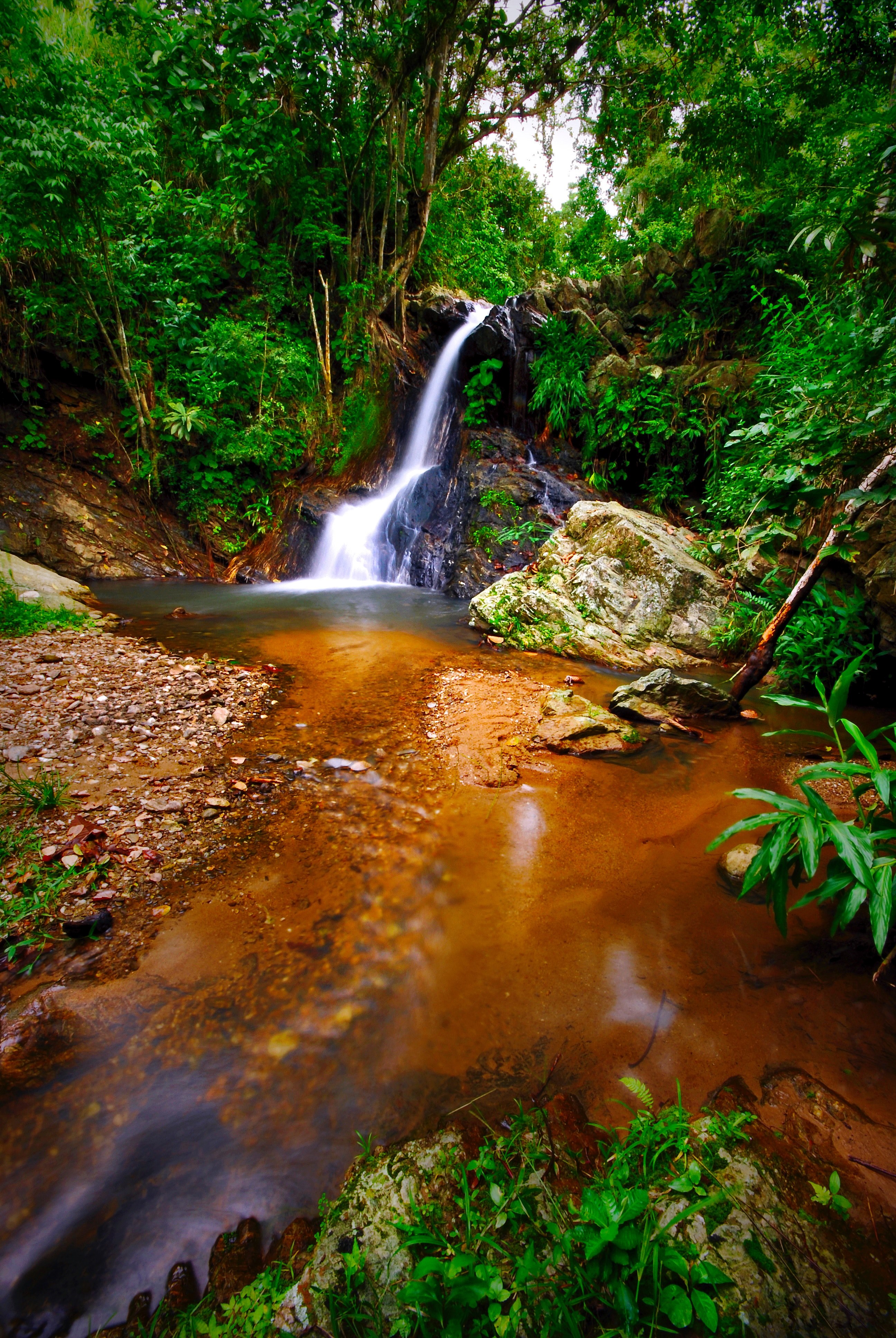 ro selva tropical color and ecuador hd, 4k, Phone HD Wallpaper