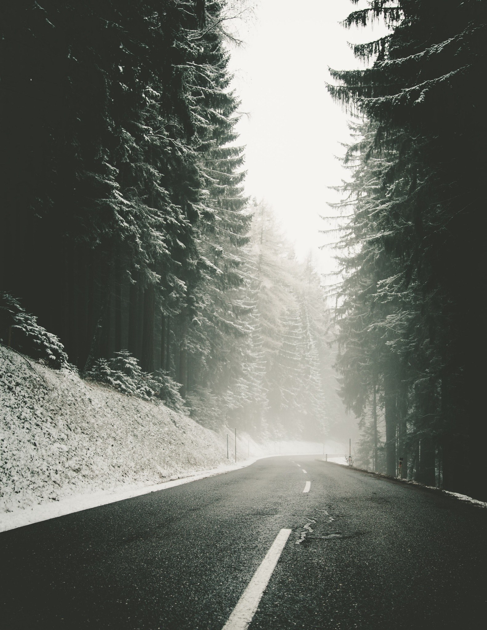 a blacktop road winding through a snowy evergreen forest, forest road in winter 4k, Phone HD Wallpaper