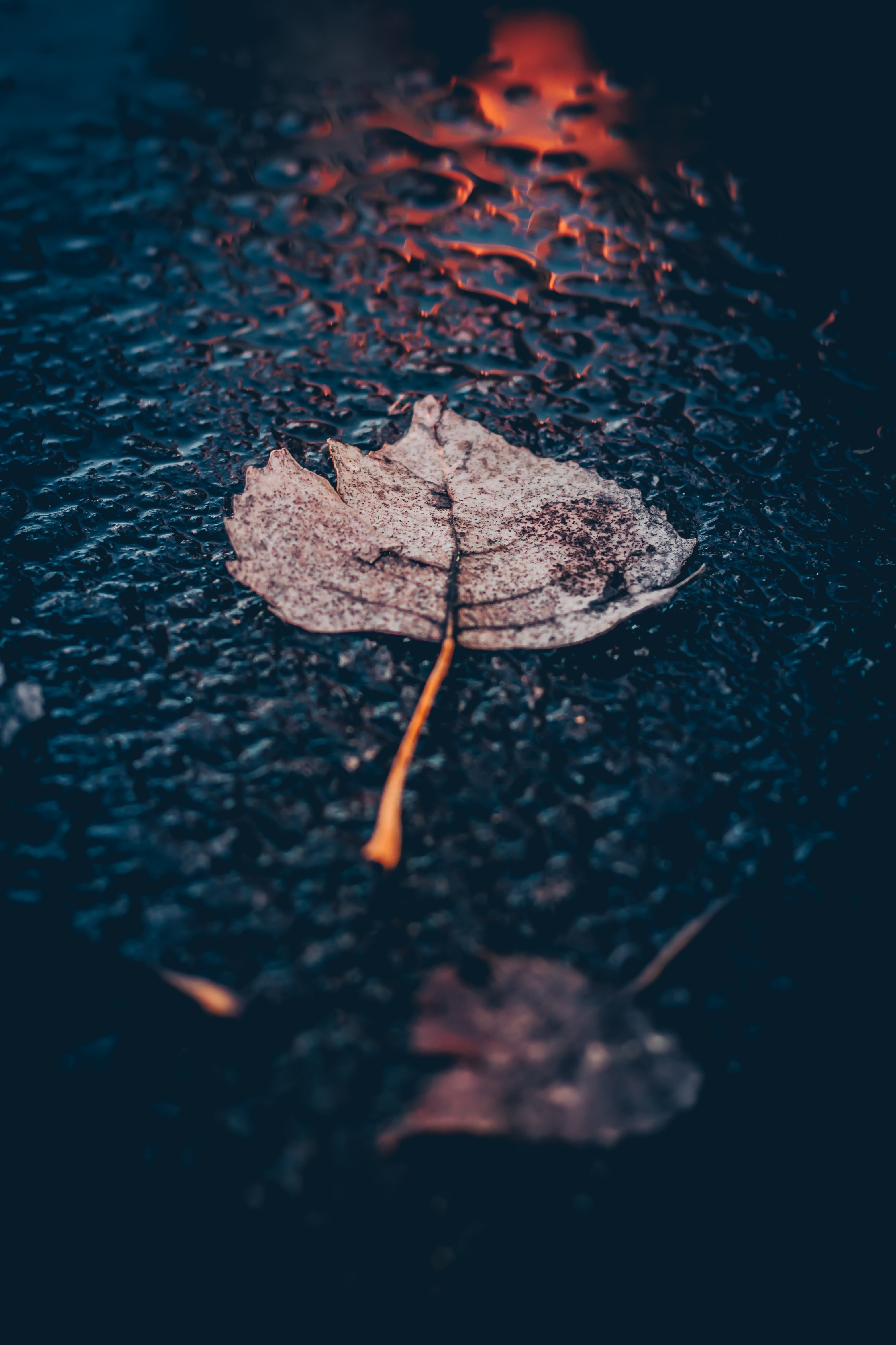 once you fall you will be back up again_ 4k, Phone HD Wallpaper