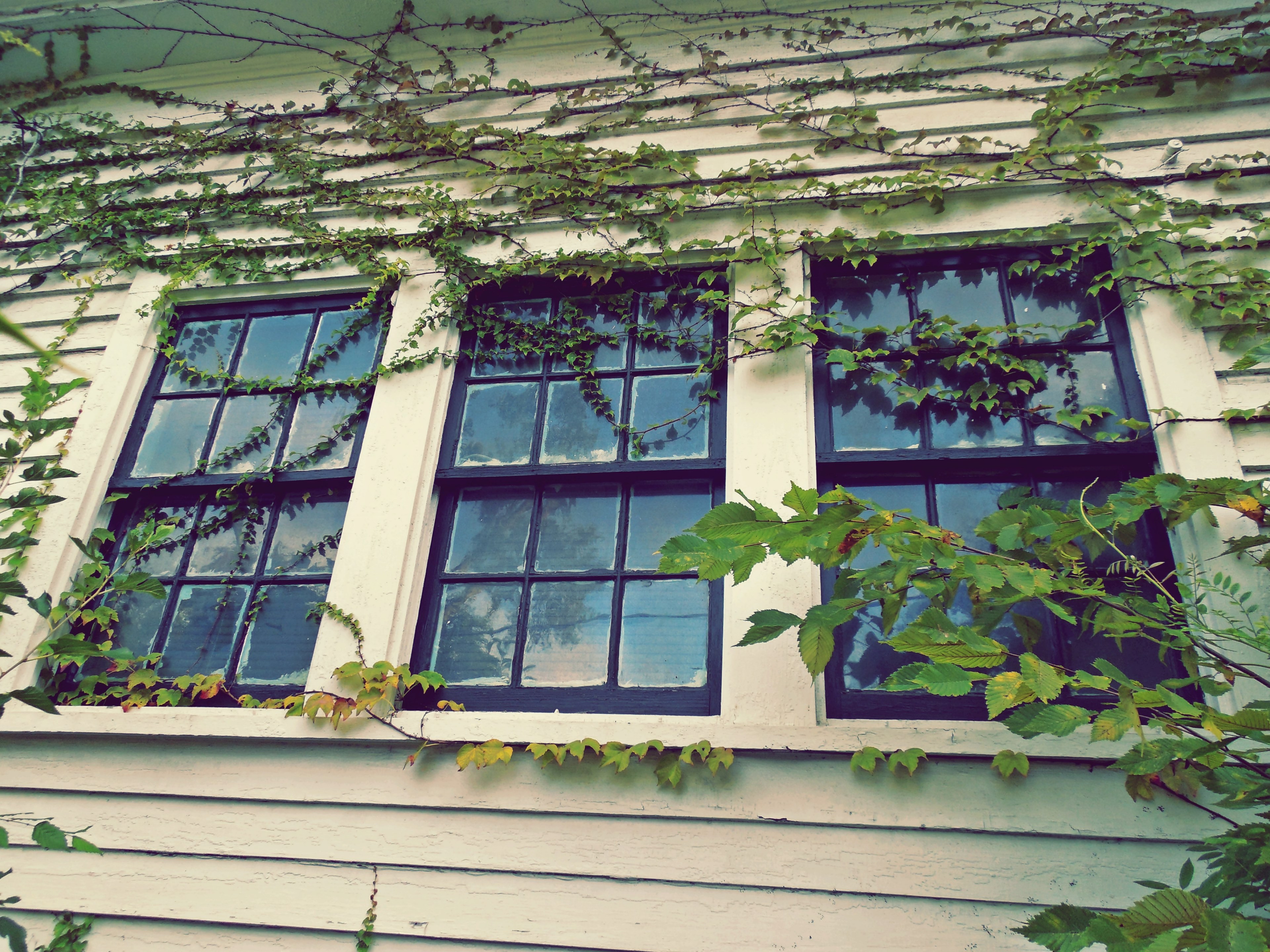 facade house reflection and pane 4k, HD Wallpaper