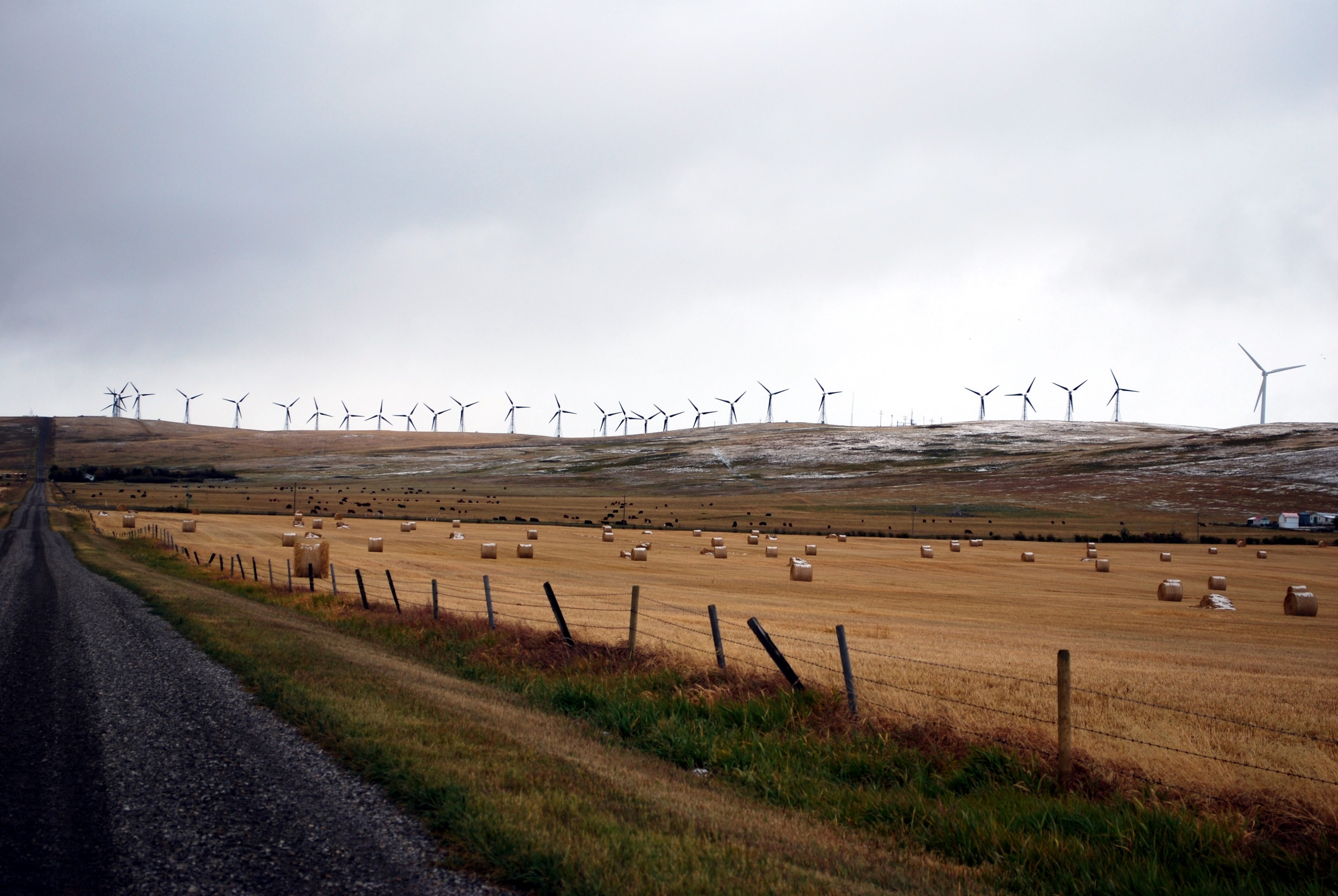 farm field by a country road lined with windmills, life in the country 4k, HD Wallpaper