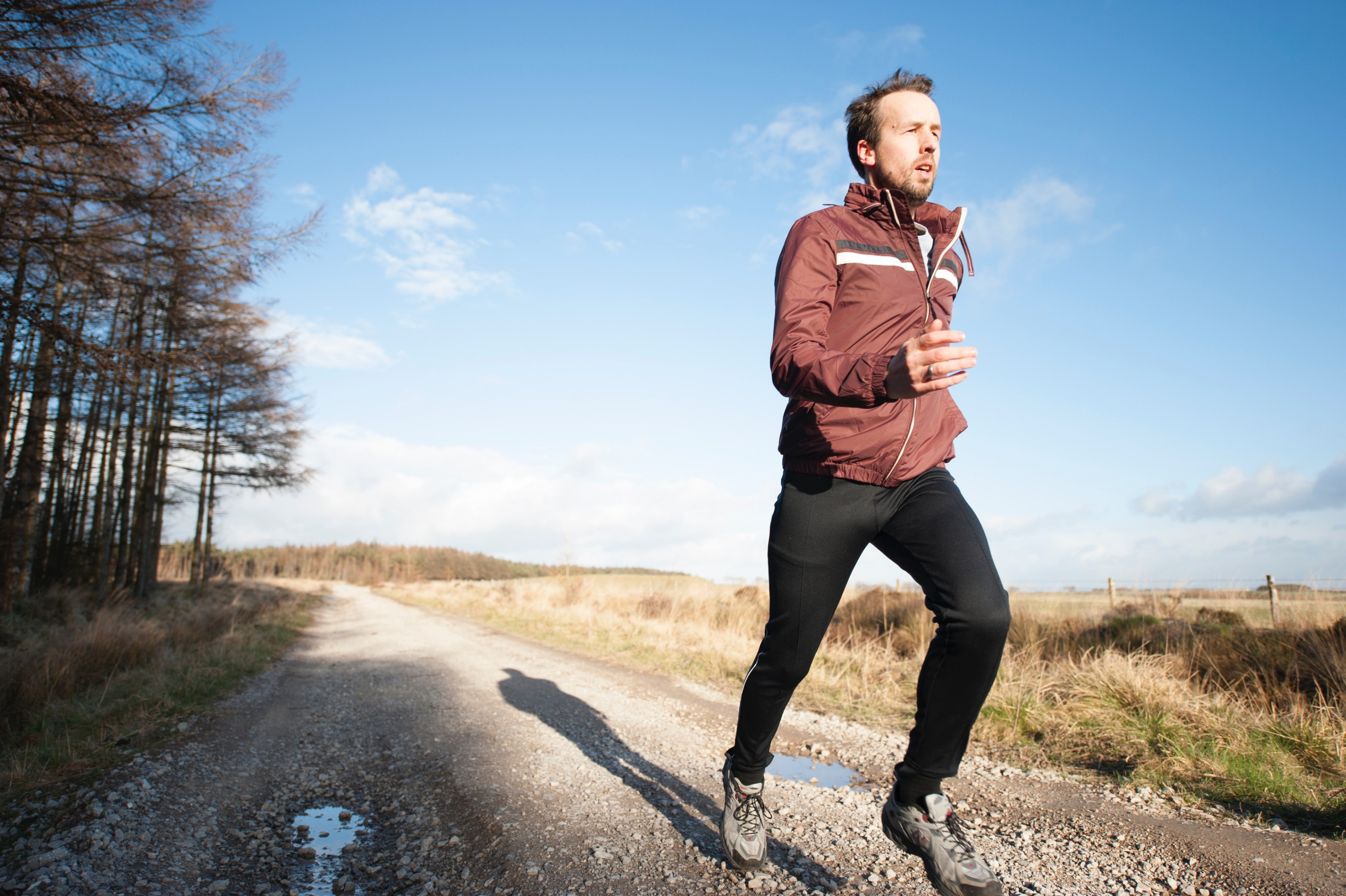 runner in stainburn forest 4k, HD Wallpaper