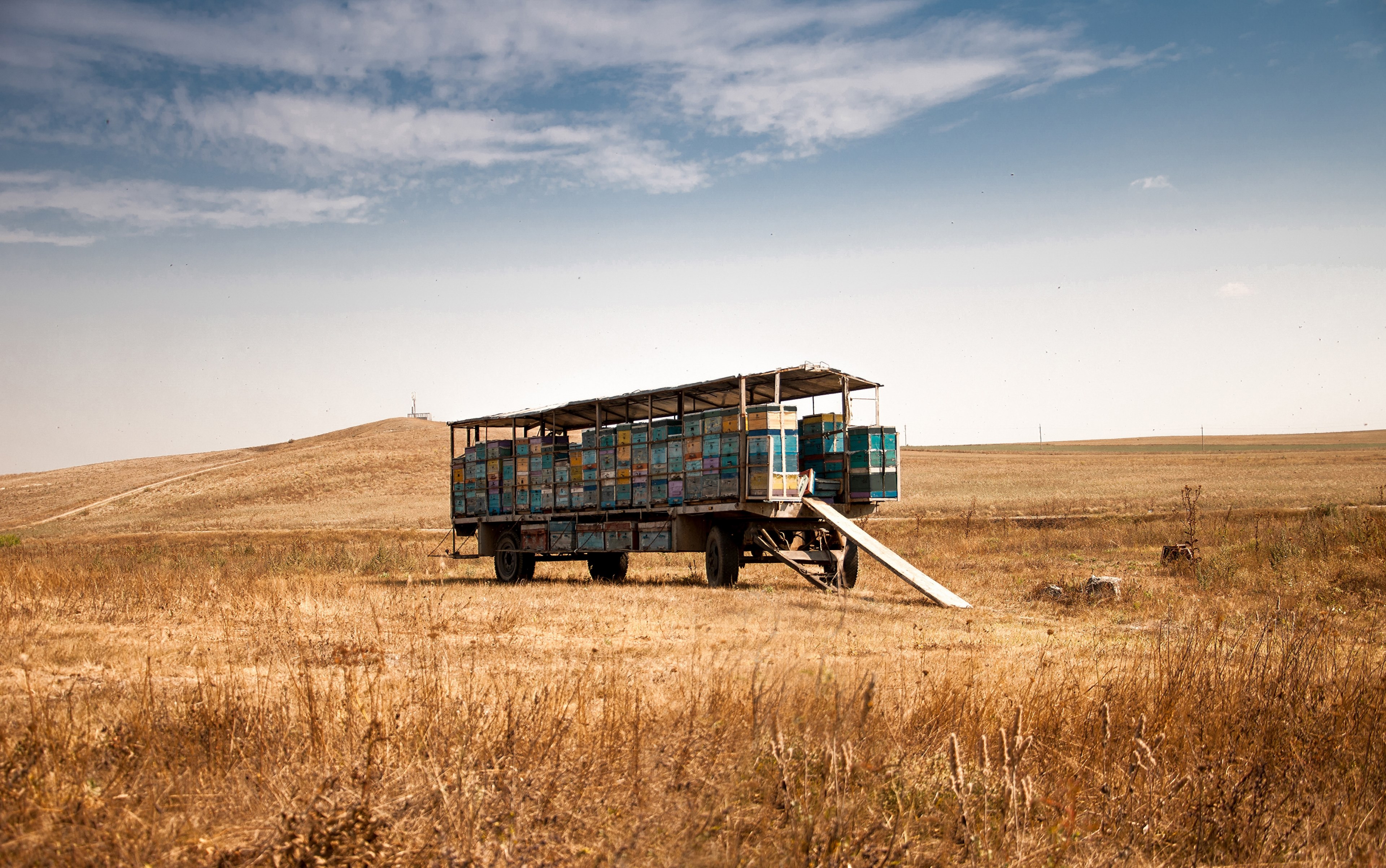 a truck holding different colored crates in a grassy field on a farm, truck and supplies 4k, HD Wallpaper