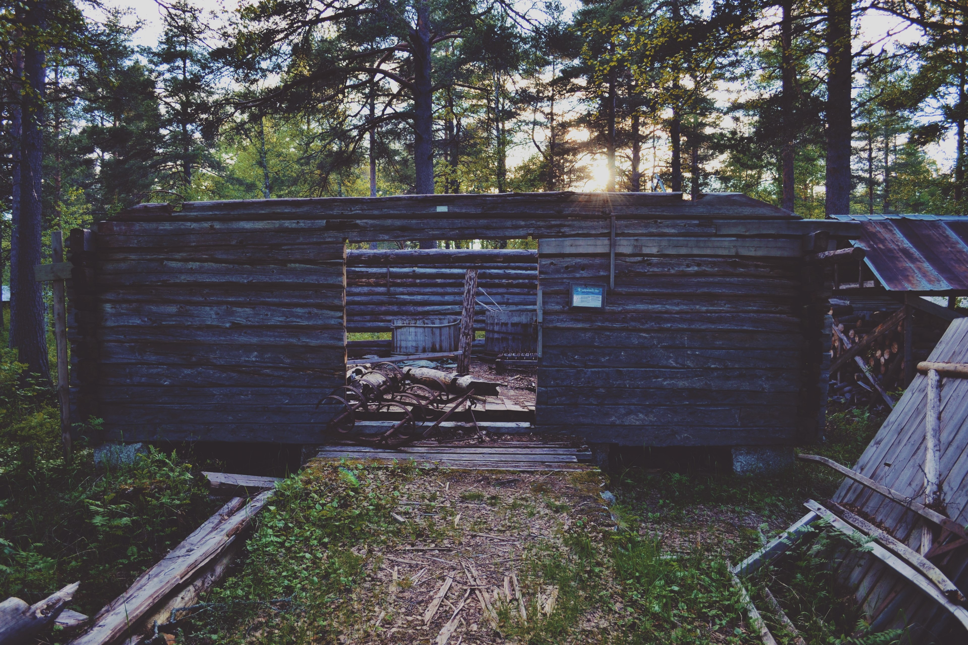 a deserted log cabin with no roof in the woods in lycksele, our favorite find on our hike 4k, HD Wallpaper