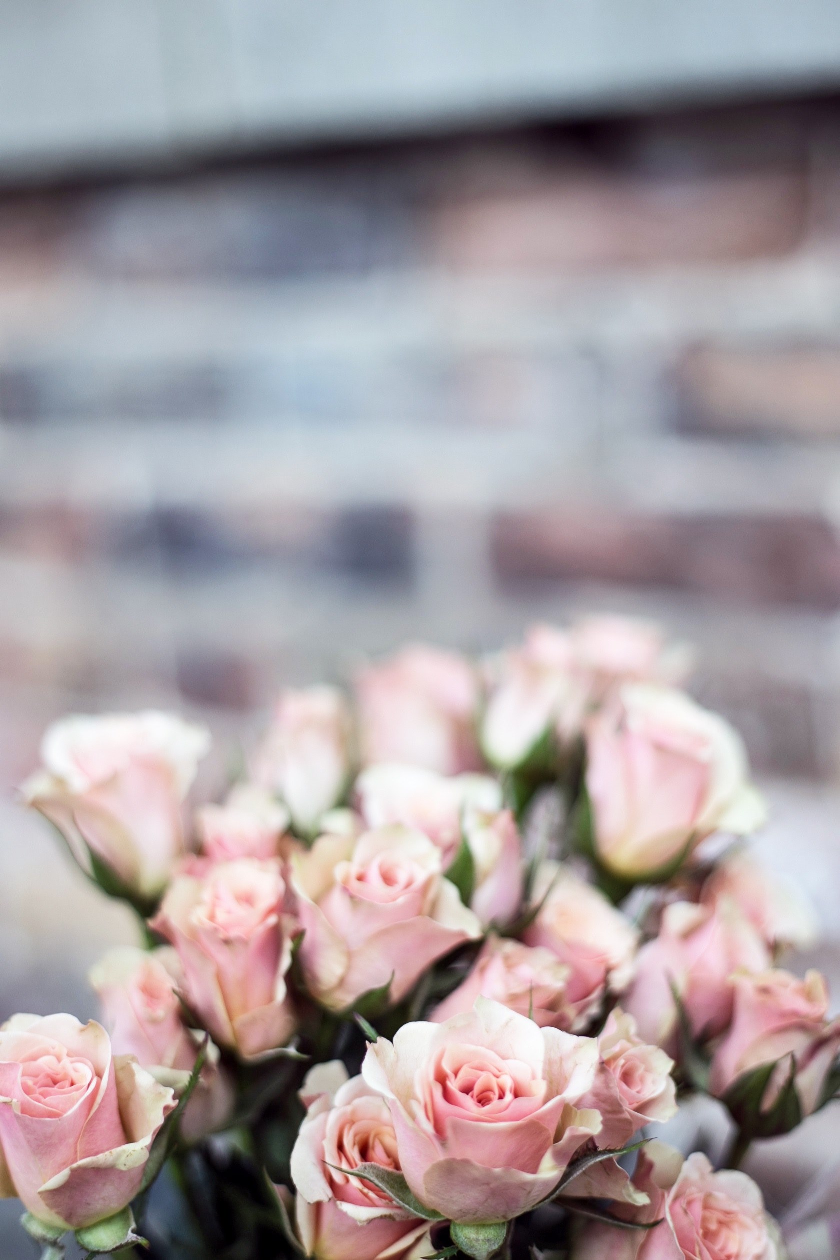 romantic floral bouquet of pink roses, pink rose bouquet 4k, Phone HD Wallpaper