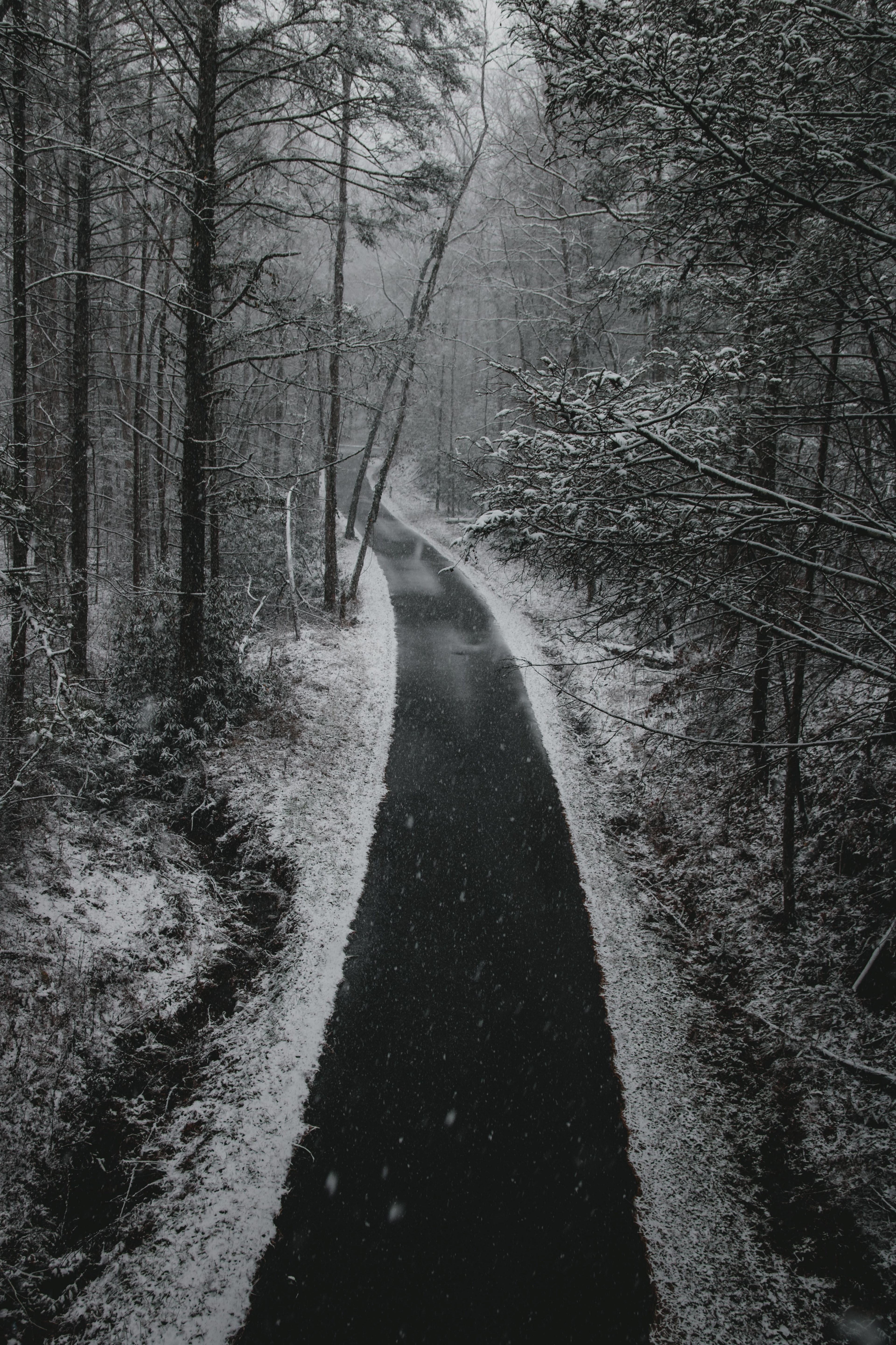 road track snow and winter hd, 4k, Phone HD Wallpaper