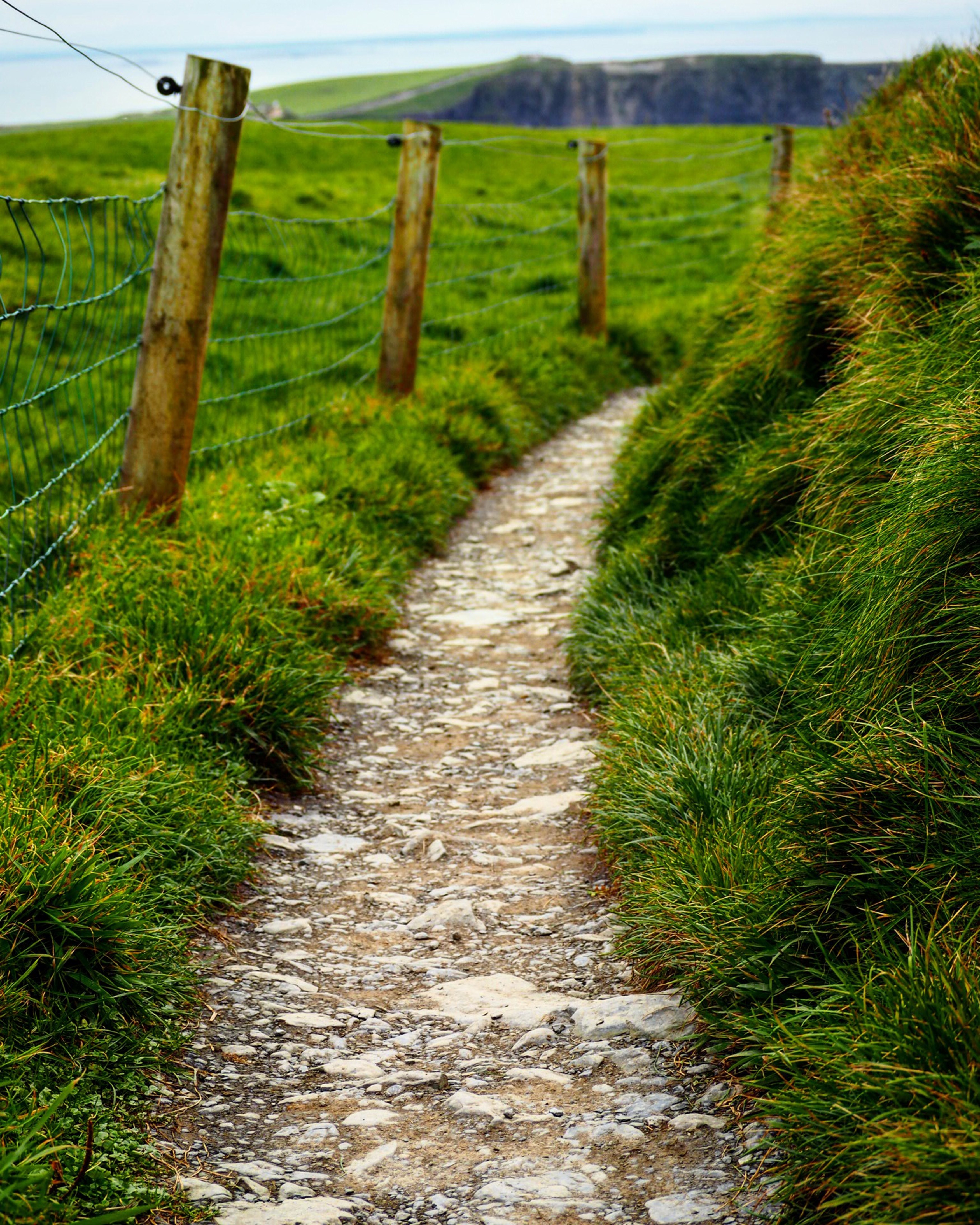 path cliff fence post and grass hd, 4k, Phone HD Wallpaper