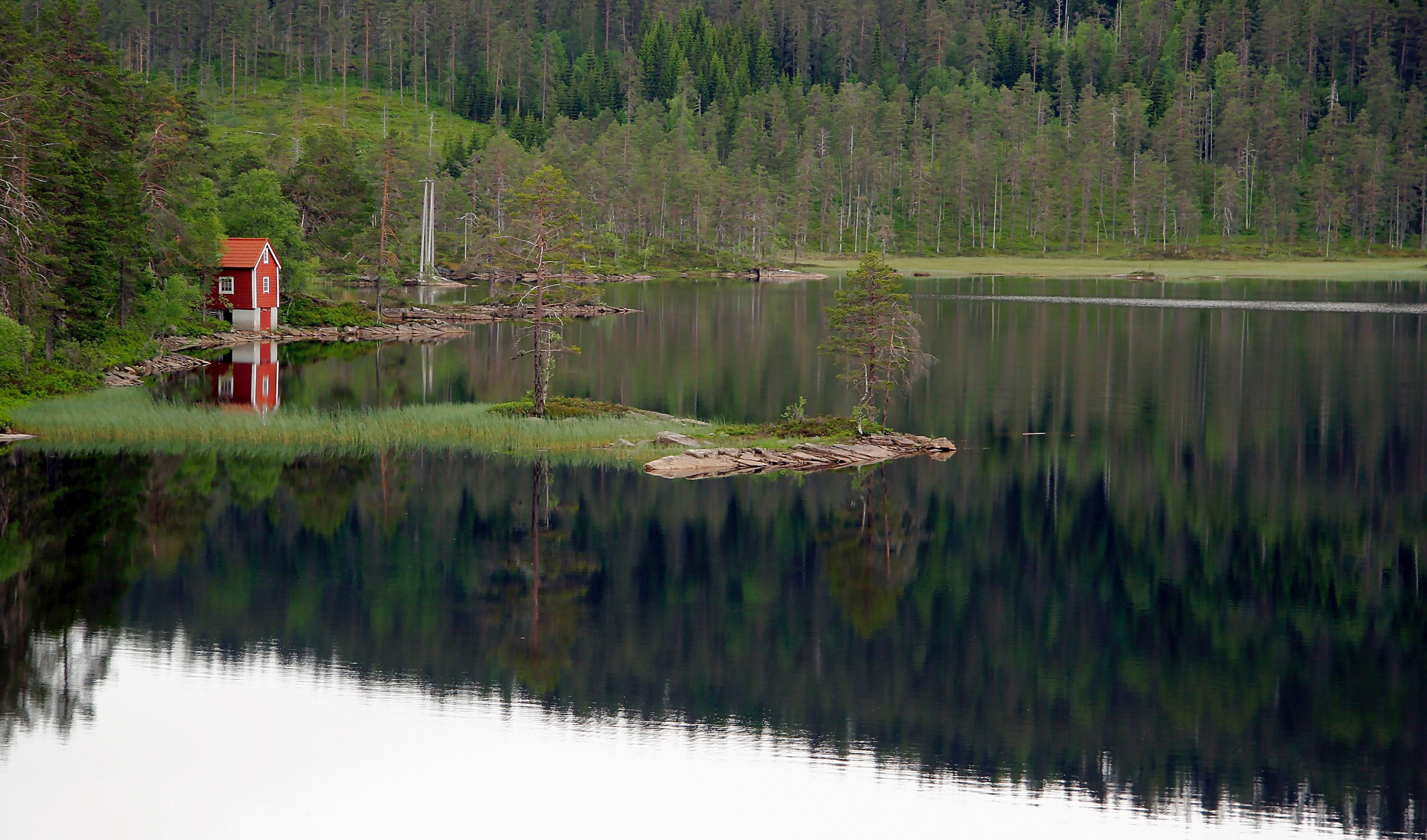 lake reflection forest and tree 4k, HD Wallpaper