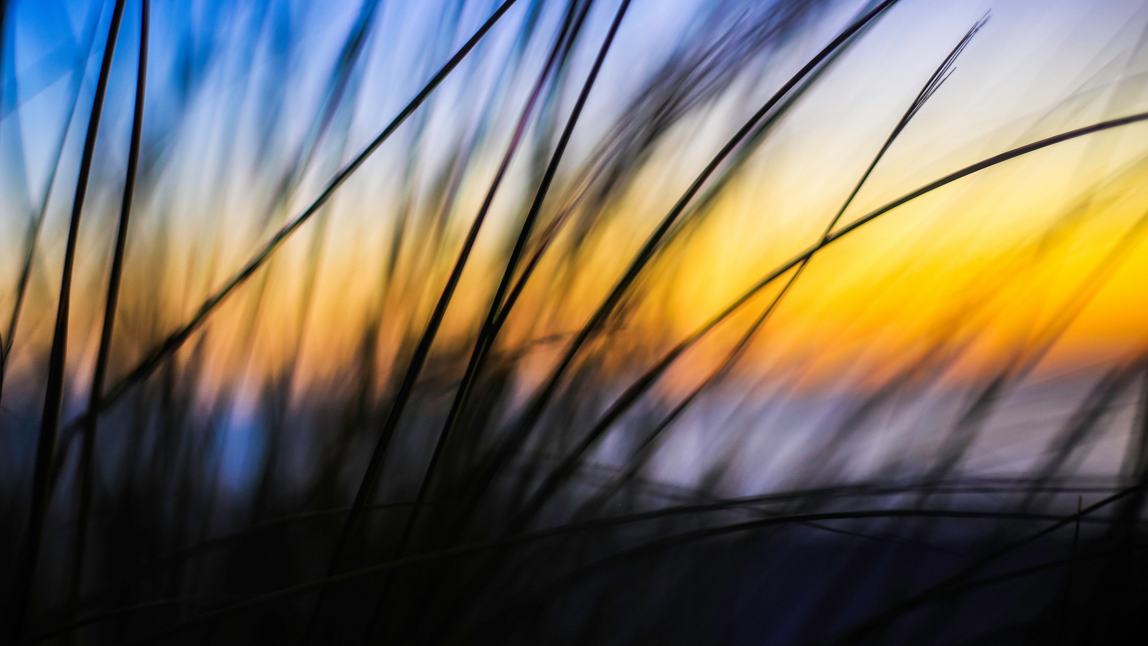 motion blur abstract dreamy and last light 4k, HD Wallpaper
