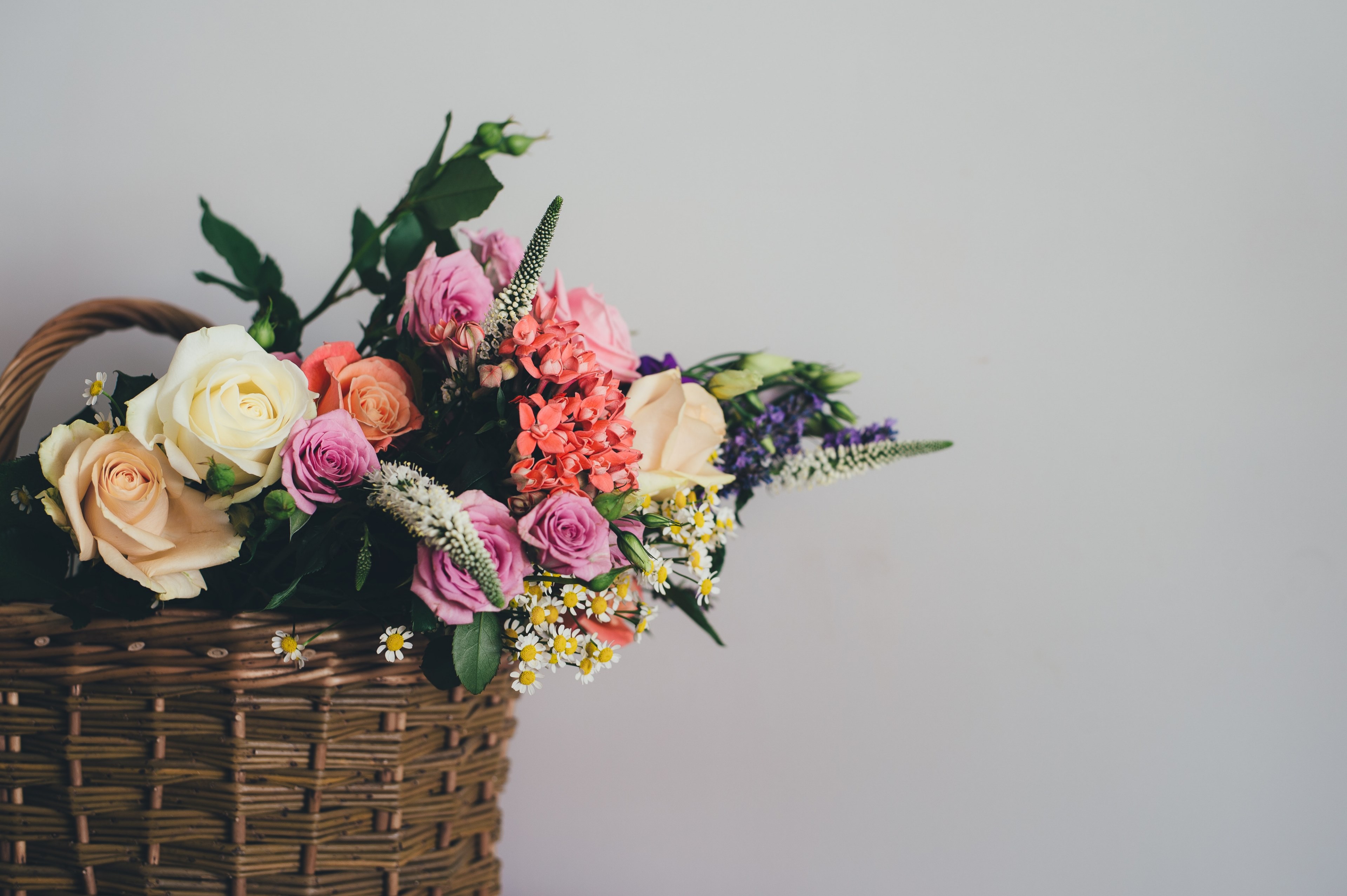 a basket full of various colorful flowers, eye catching flower basket 4k, HD Wallpaper