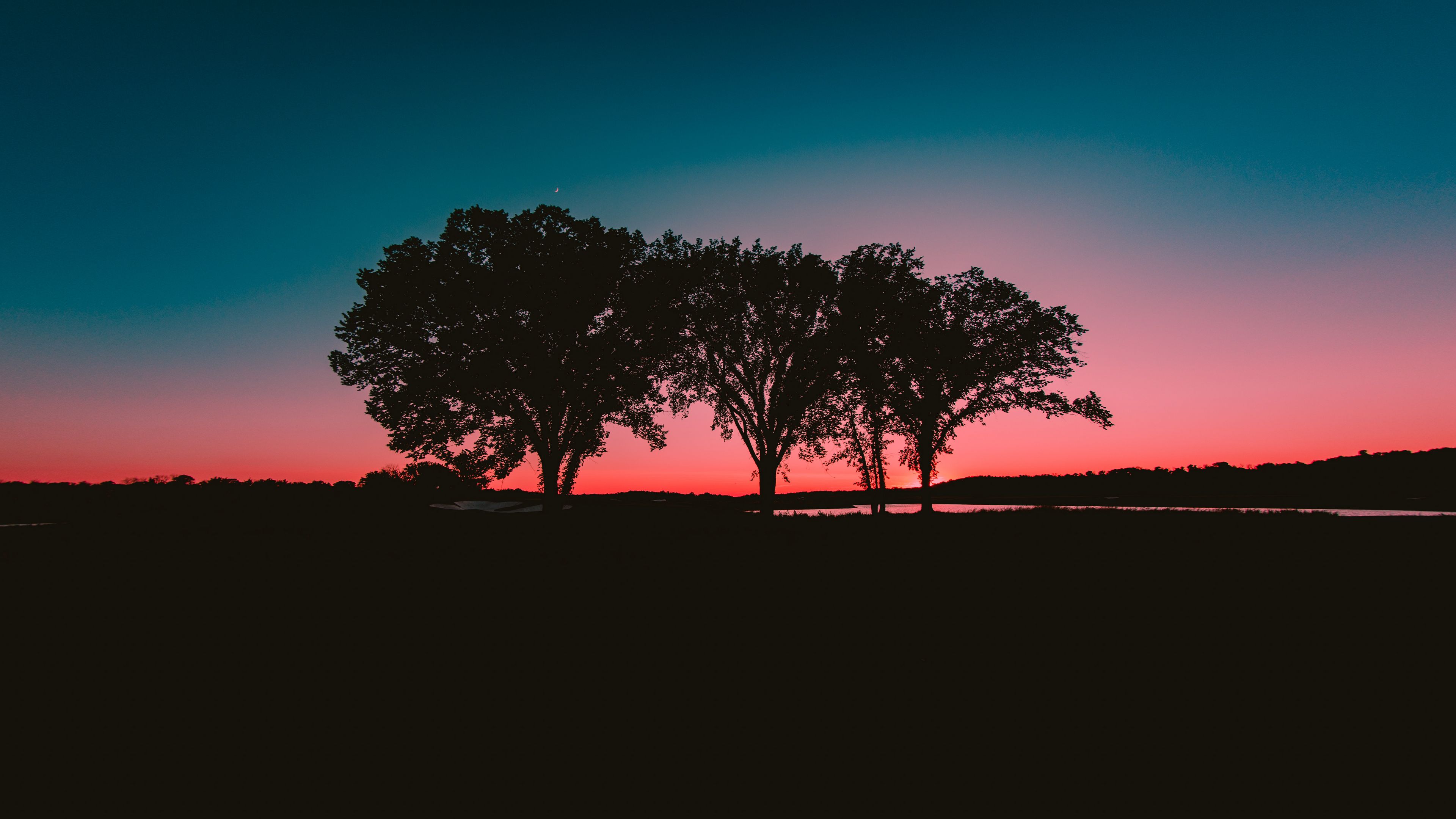 trees, sunset, horizon, 4k, HD Wallpaper