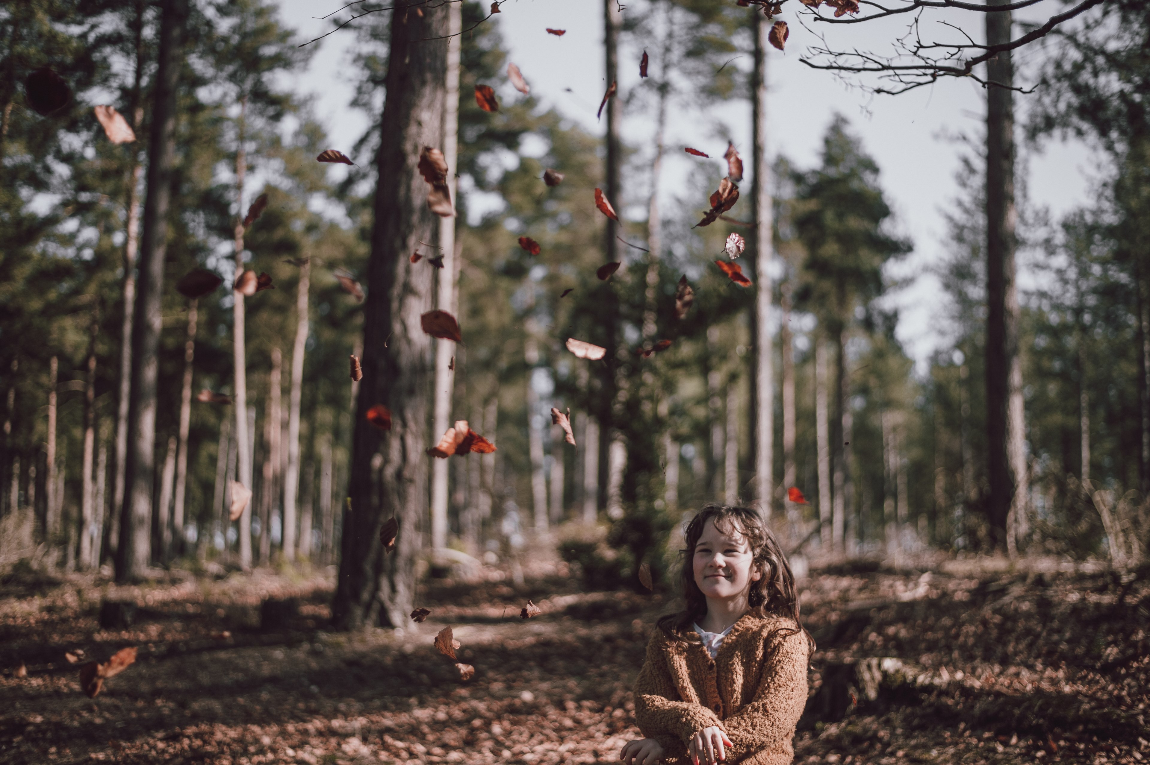 a girl throwing autumn leaves up in the air, playing in autumn leaves 4k, HD Wallpaper