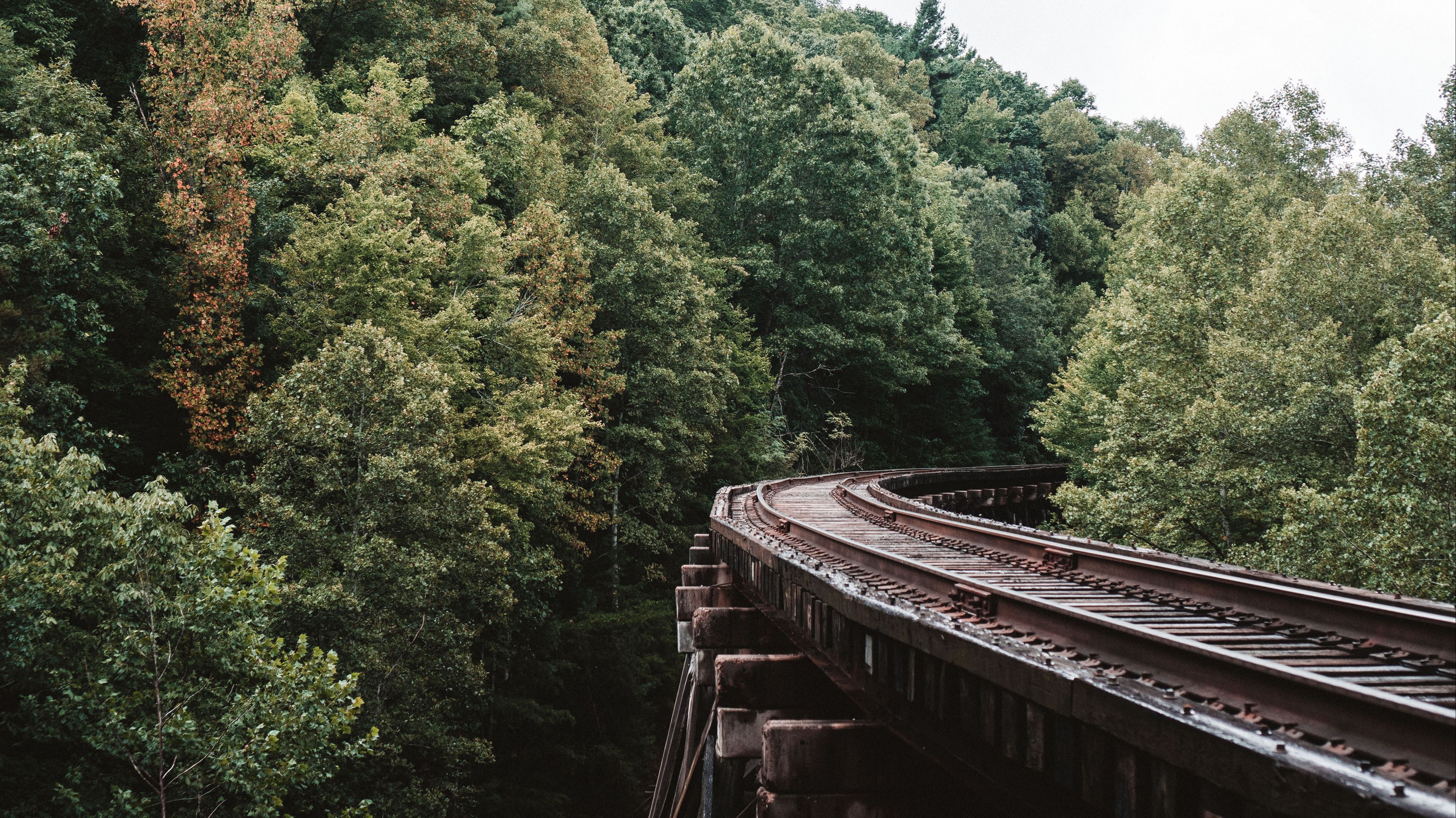 railway, trees, sky, 4k, HD Wallpaper
