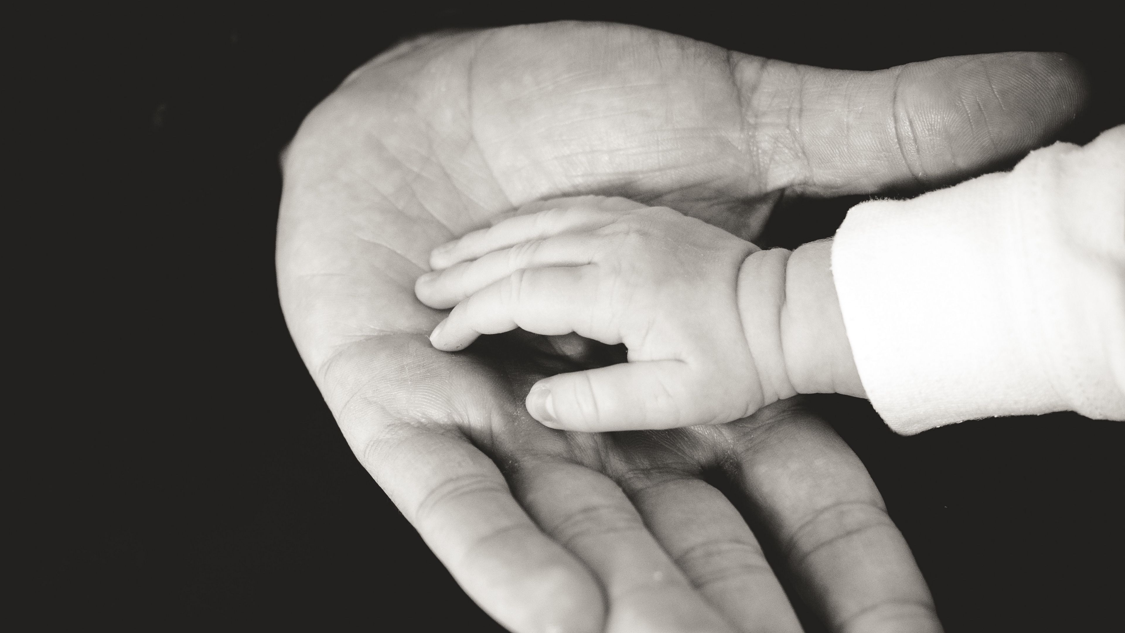 child, parents, hands, caring, tenderness, family, bw, 4k, HD Wallpaper