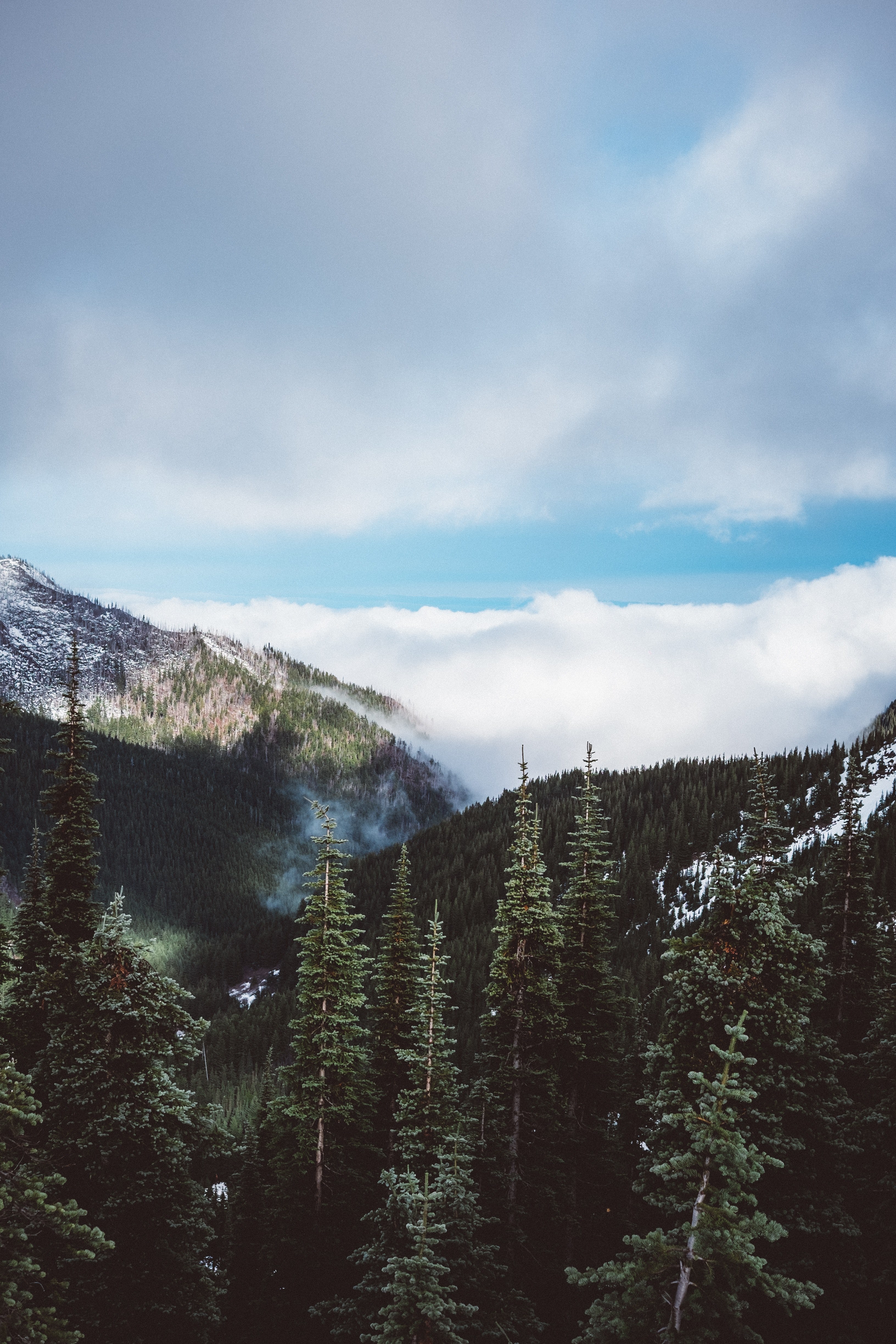 mountain landscape snow and cloud hd, 4k, Phone HD Wallpaper