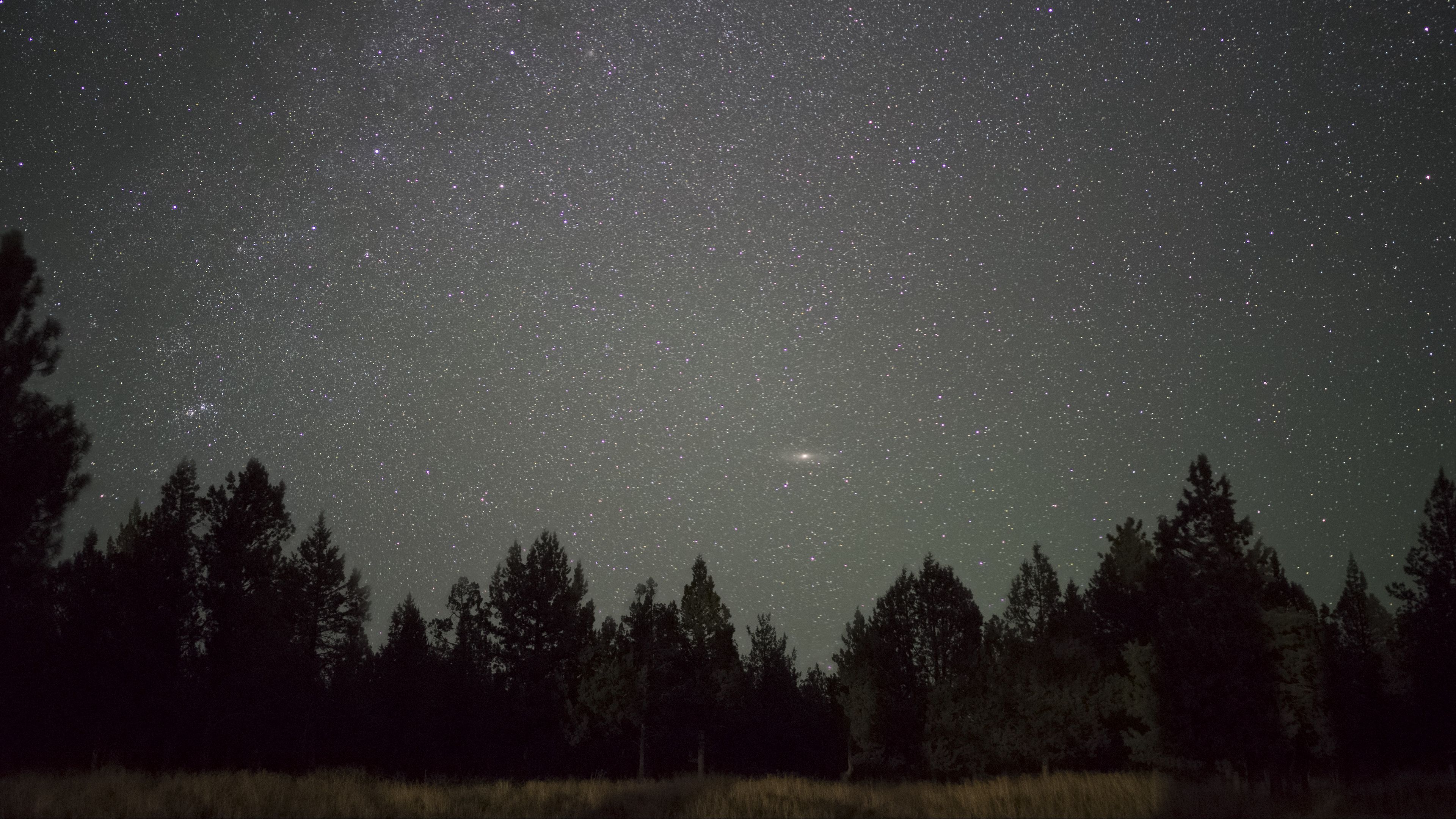 starry sky, night, trees, horizon, 4k, HD Wallpaper