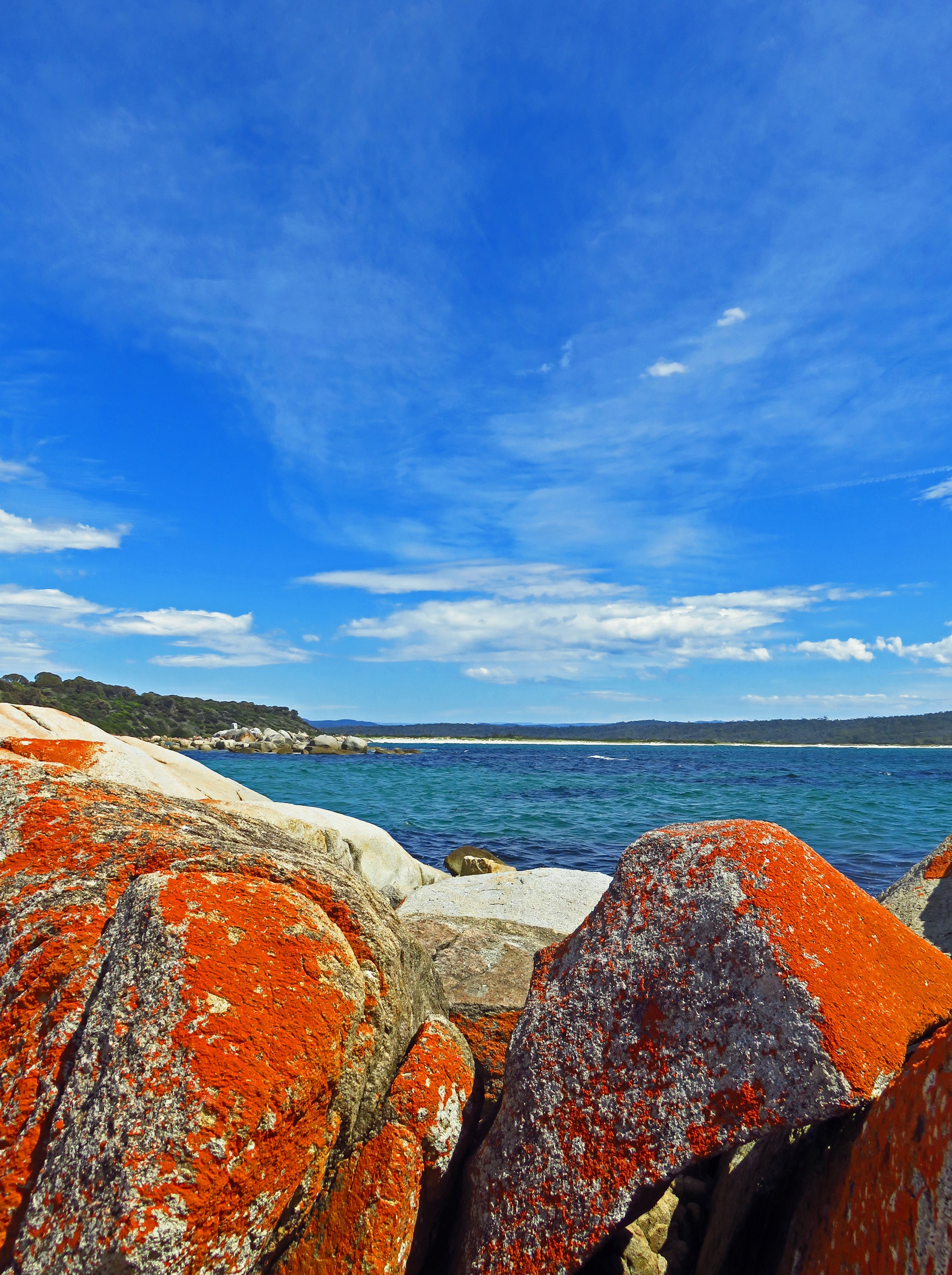 burns beach bay of fires tasmania_ 4k, Phone HD Wallpaper