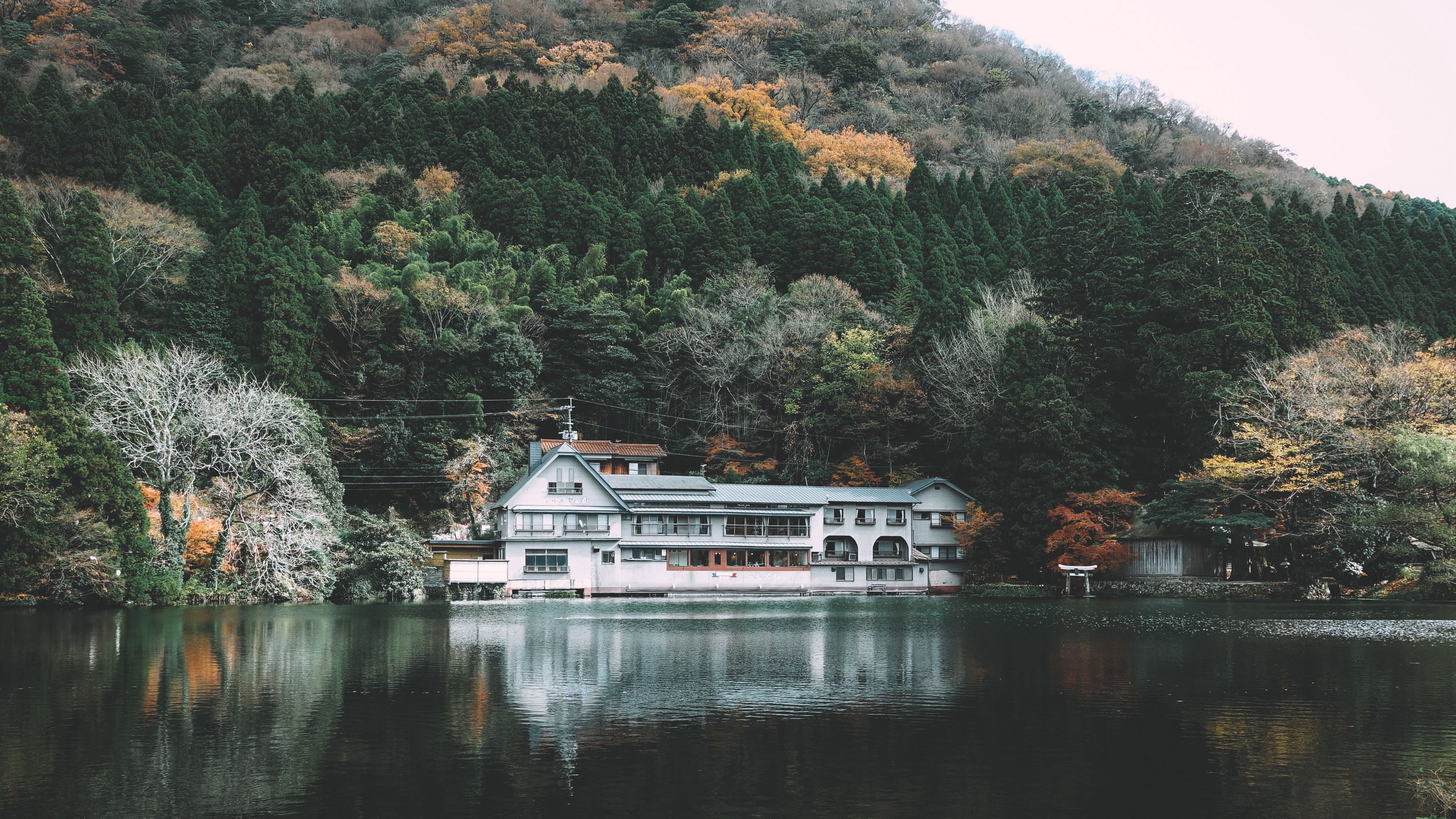 house, lake, shore, hill, trees, 4k, HD Wallpaper