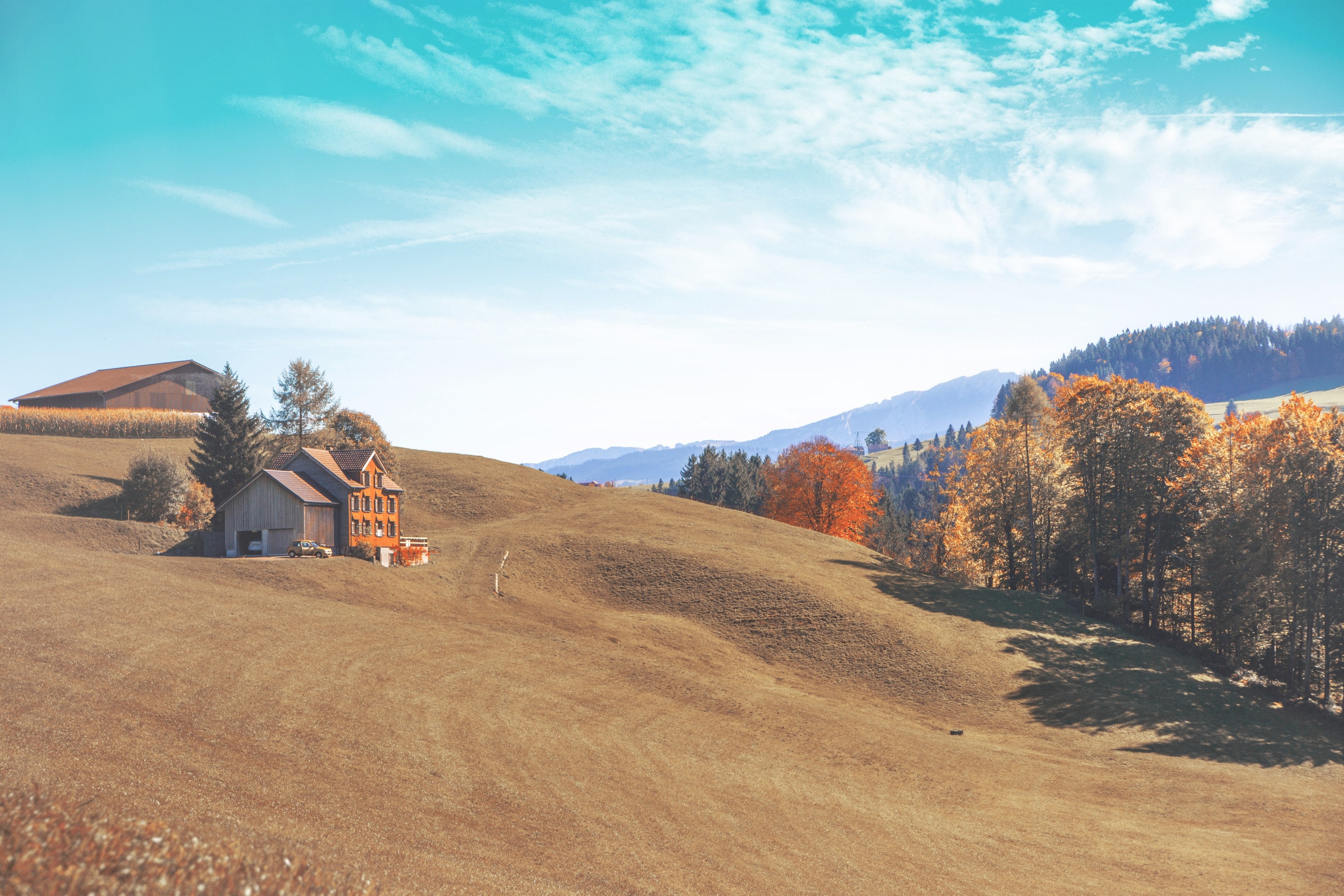 colors of autumn 4k, HD Wallpaper