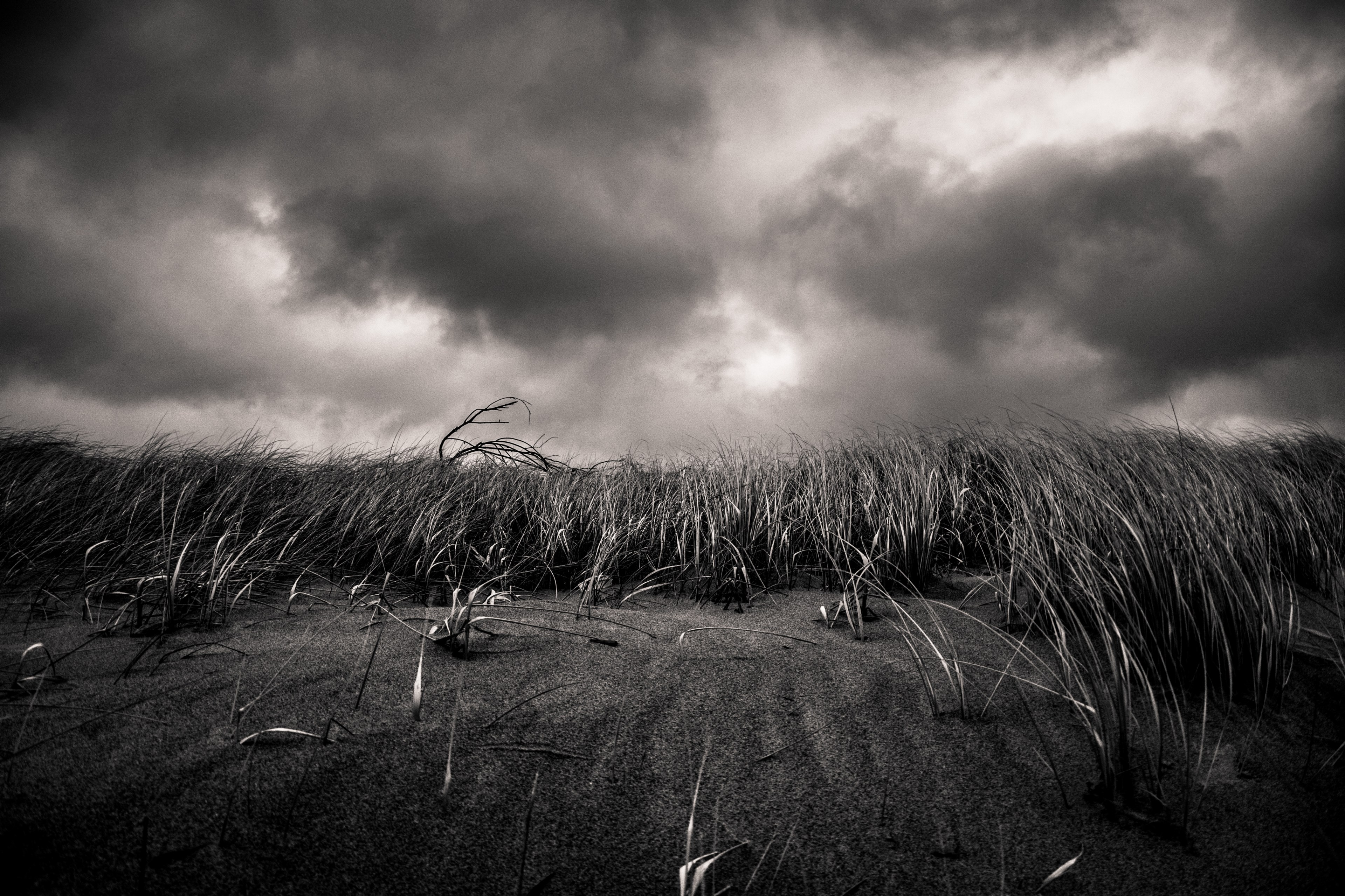 storms do come 4k, HD Wallpaper