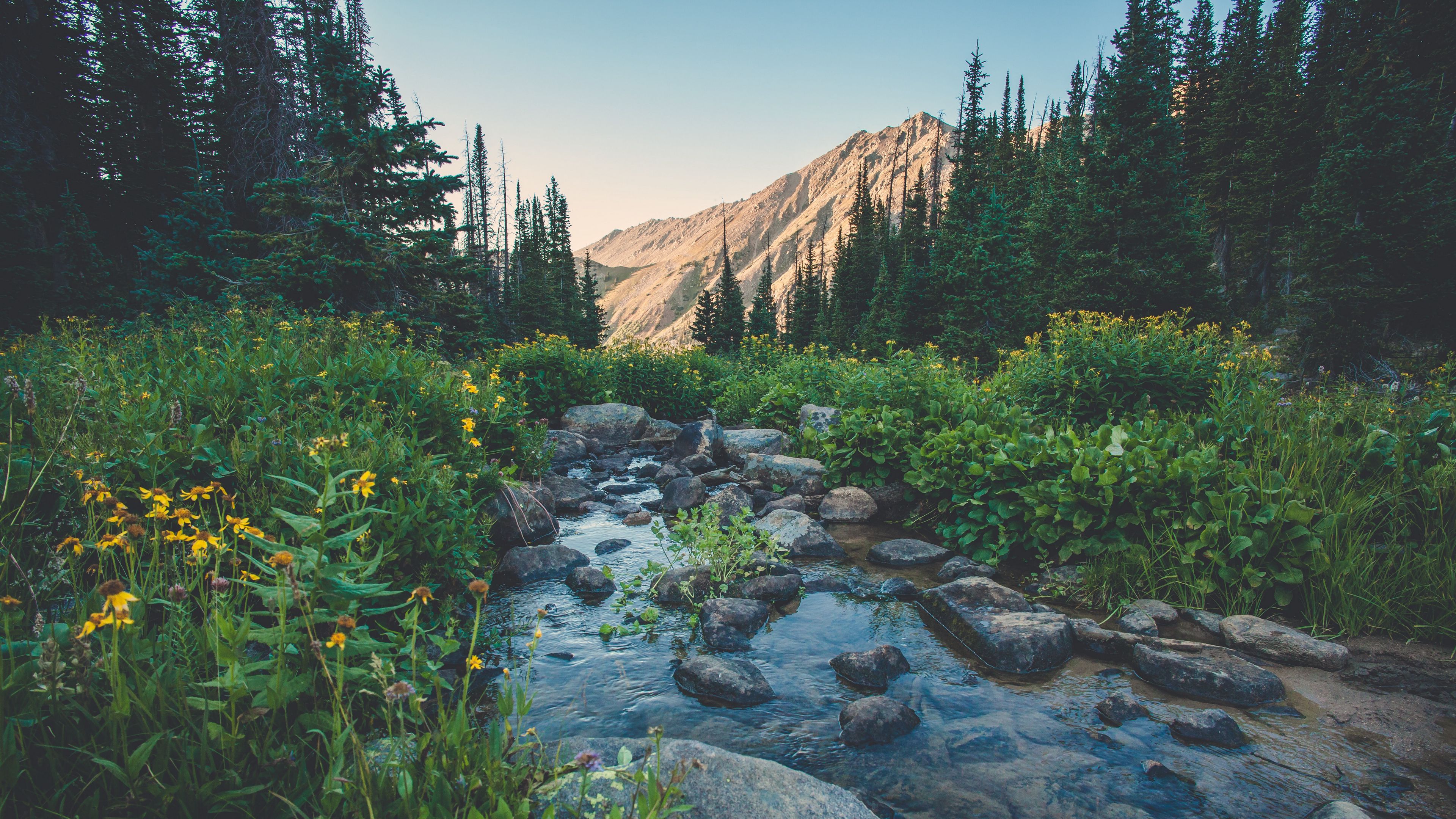 creek, flowers, mountains, grass, 4k, HD Wallpaper