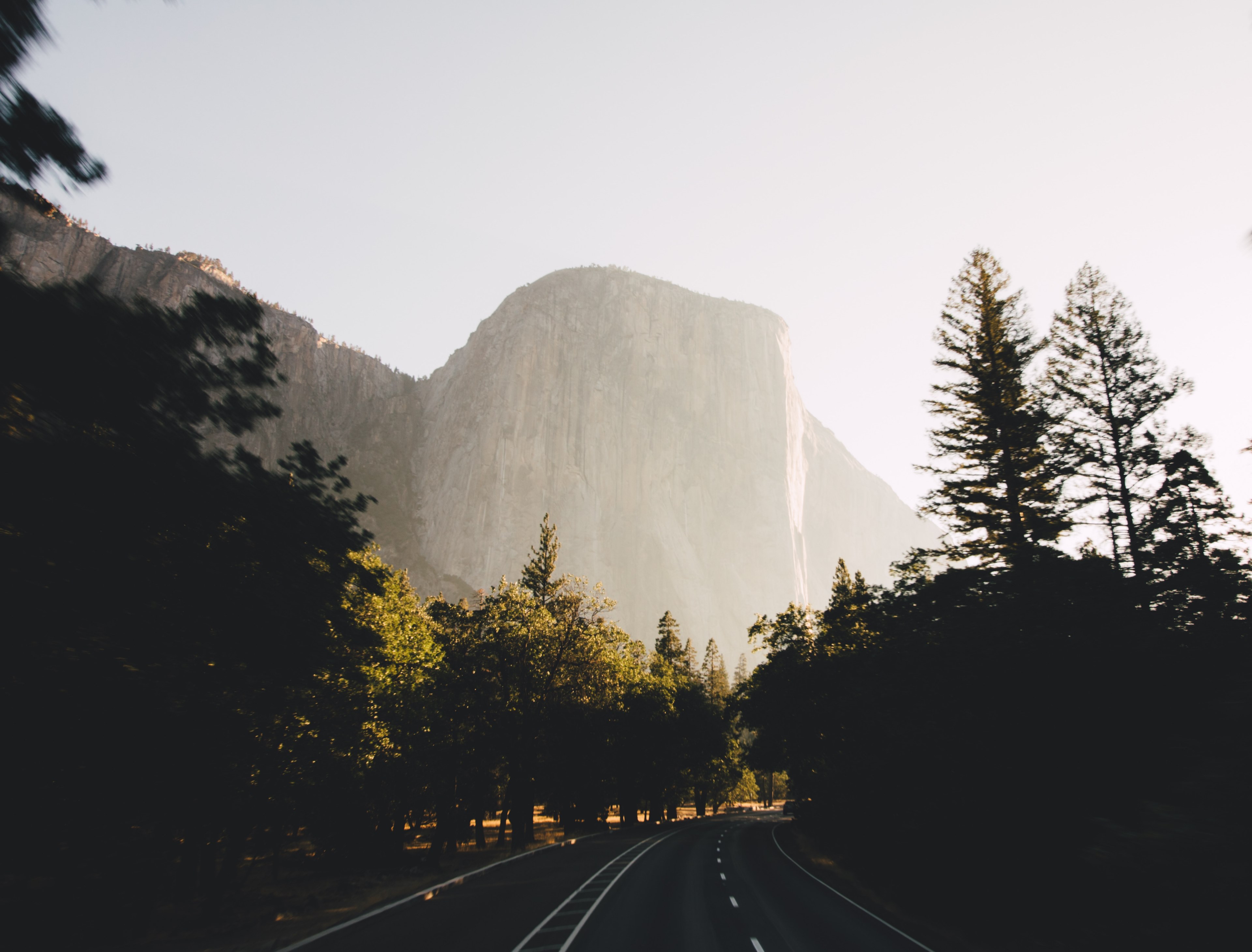 a curve in a tree lined road near a vertical granite summit in yosemite valley, asphalt road near yosemite 4k, HD Wallpaper