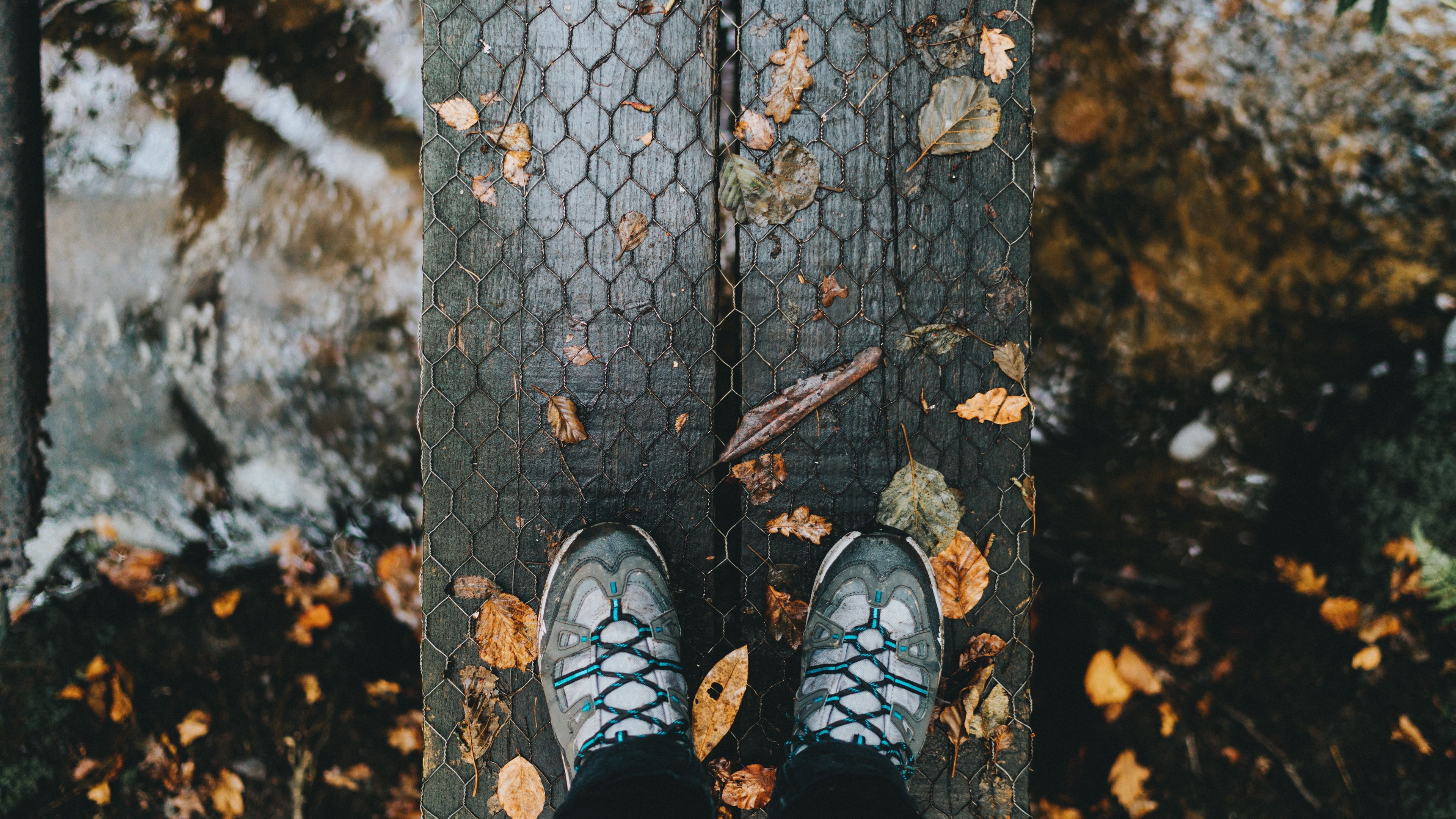 feet, autumn, foliage, rain, 4k, HD Wallpaper