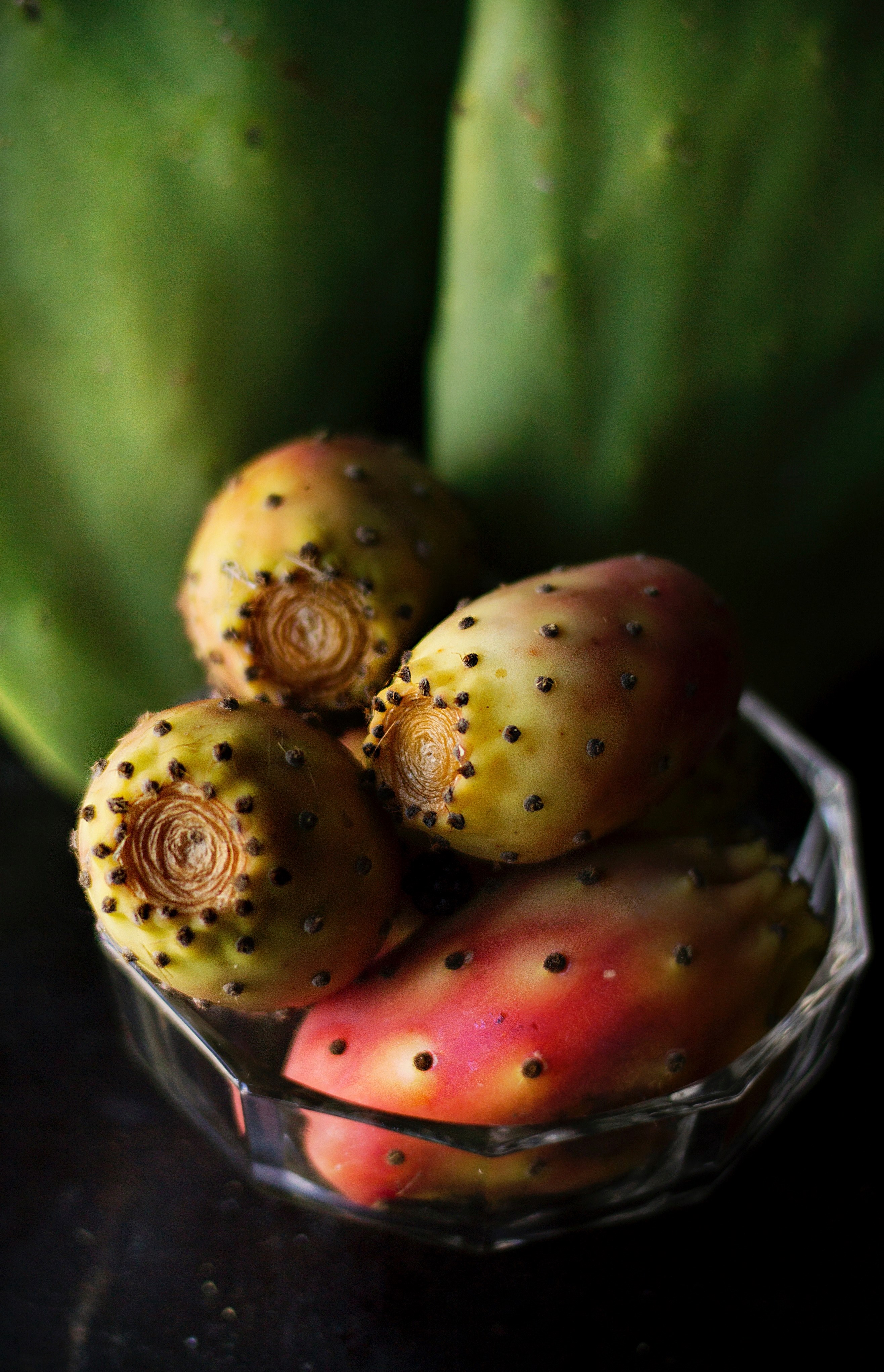 sicily fruit food and prickly pear hd, 4k, Phone HD Wallpaper