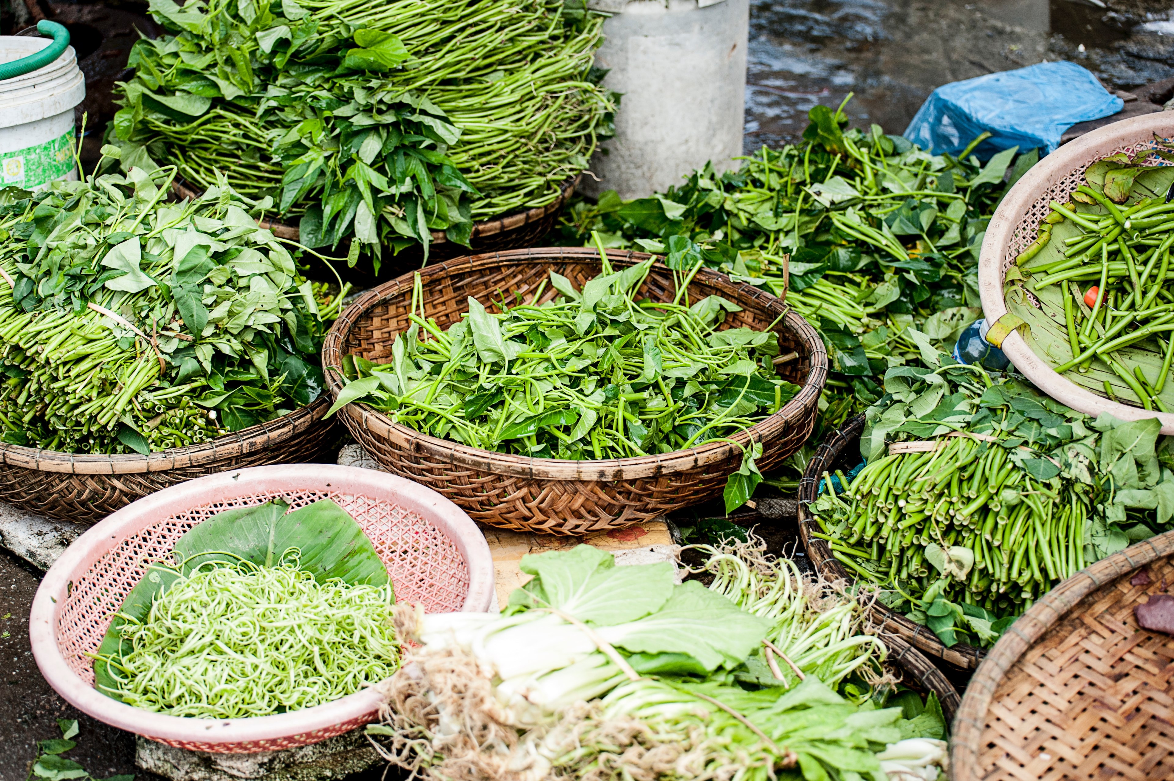 green basket herb and vegetable 4k, HD Wallpaper