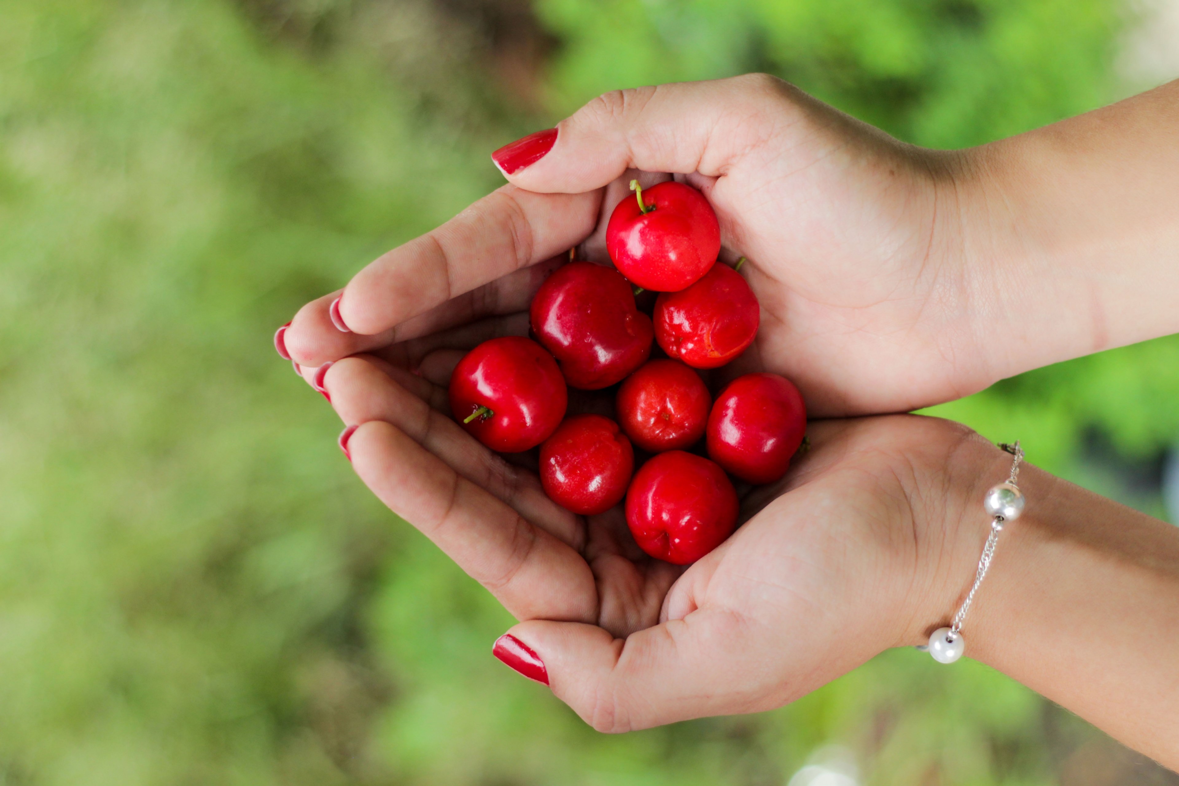 fresh berry fruit in cupped palms featuring well manicured red nails, closeup shot of healthy berry 4k, HD Wallpaper
